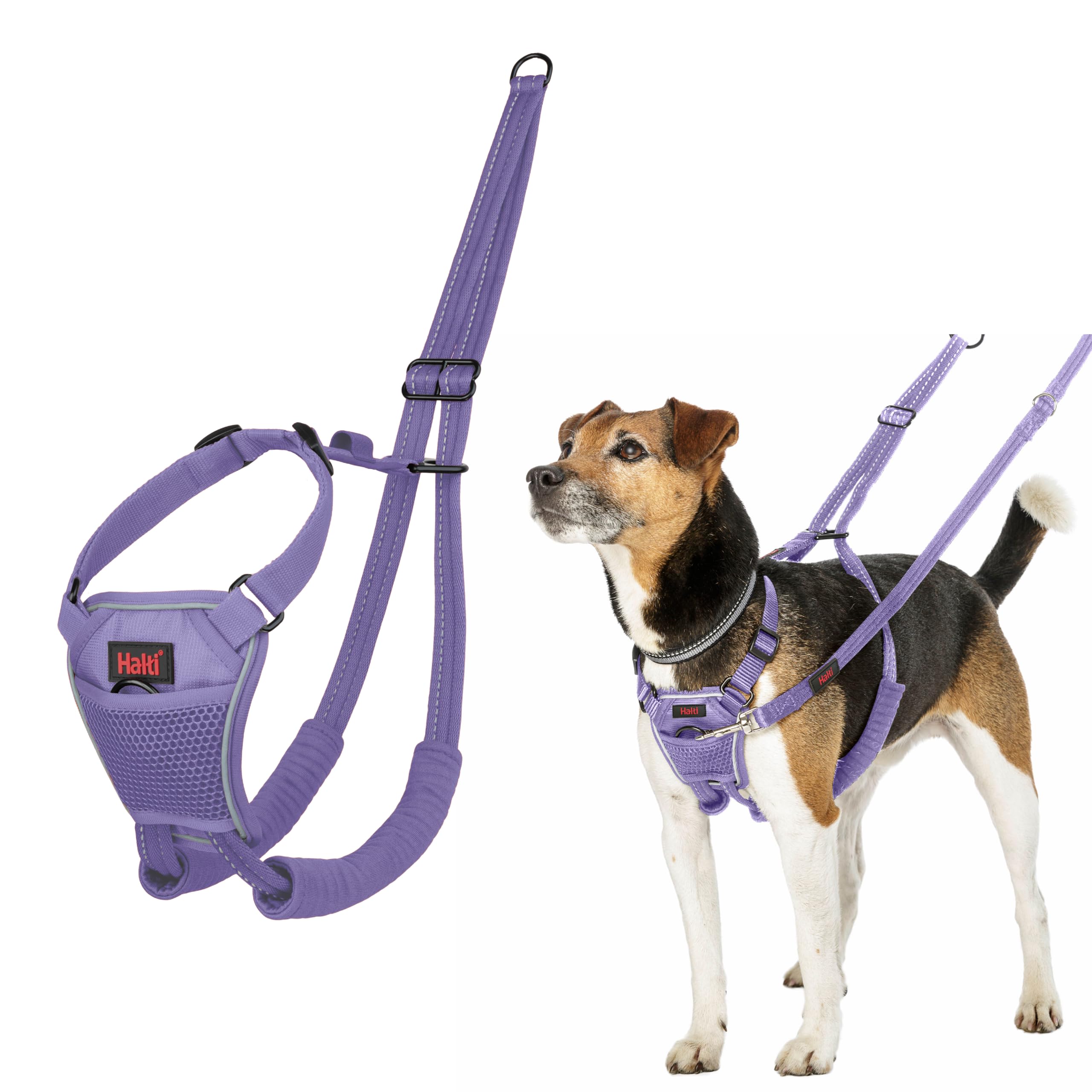 Halti No Pull Dog Harness | Size S, Purple