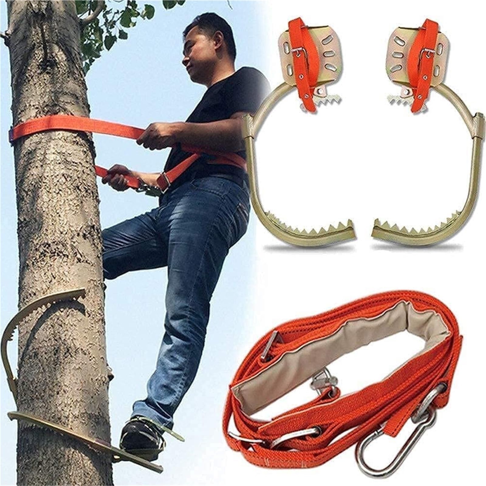 Équipement d'escalade sur poteau et pointes en acier inoxydable pour jardin