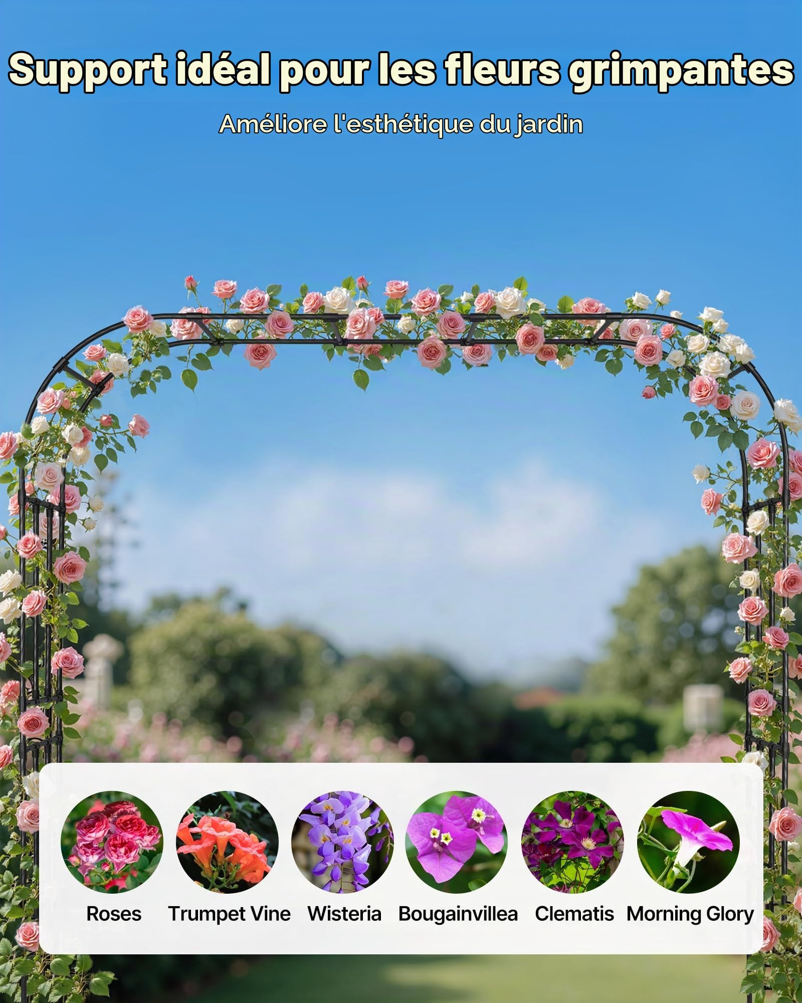 VEVOR Arche de Jardin, 240x250x40 cm, Arche de Mariage en Métal, avec Tubes en Acier Galvanisé, Support Robuste pour Plantes Grimpantes et Roses, Jardins, Pelouses, Décorations de Fêtes, d'Événements