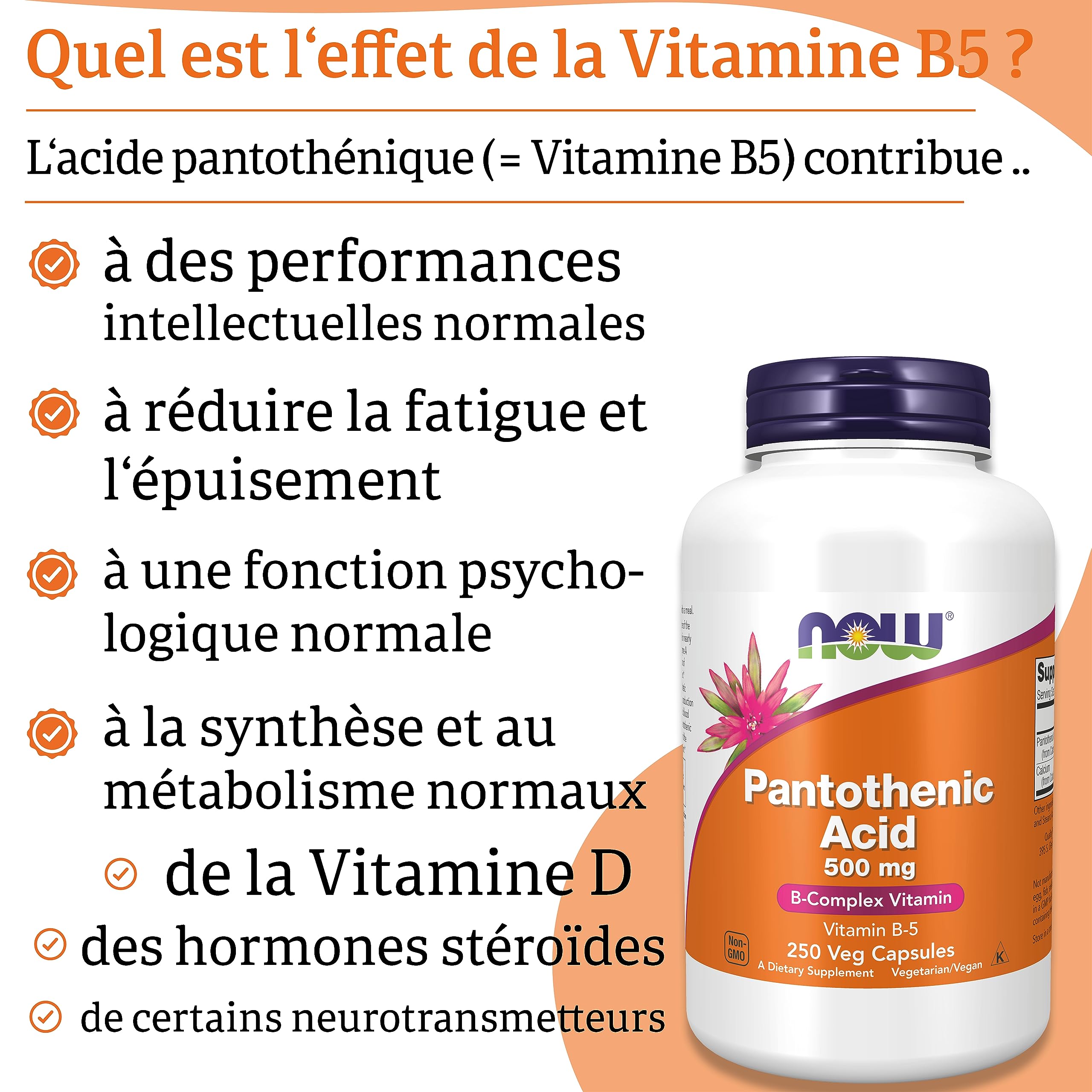 Now Foods, Pantothenic Acid (Acide Pantothénique), 500 mg, 250 Gélules végétales, Testé en Laboratoire, Vitamine B5, Haute Dose, Sans Gluten, Sans Soja, Végétarien