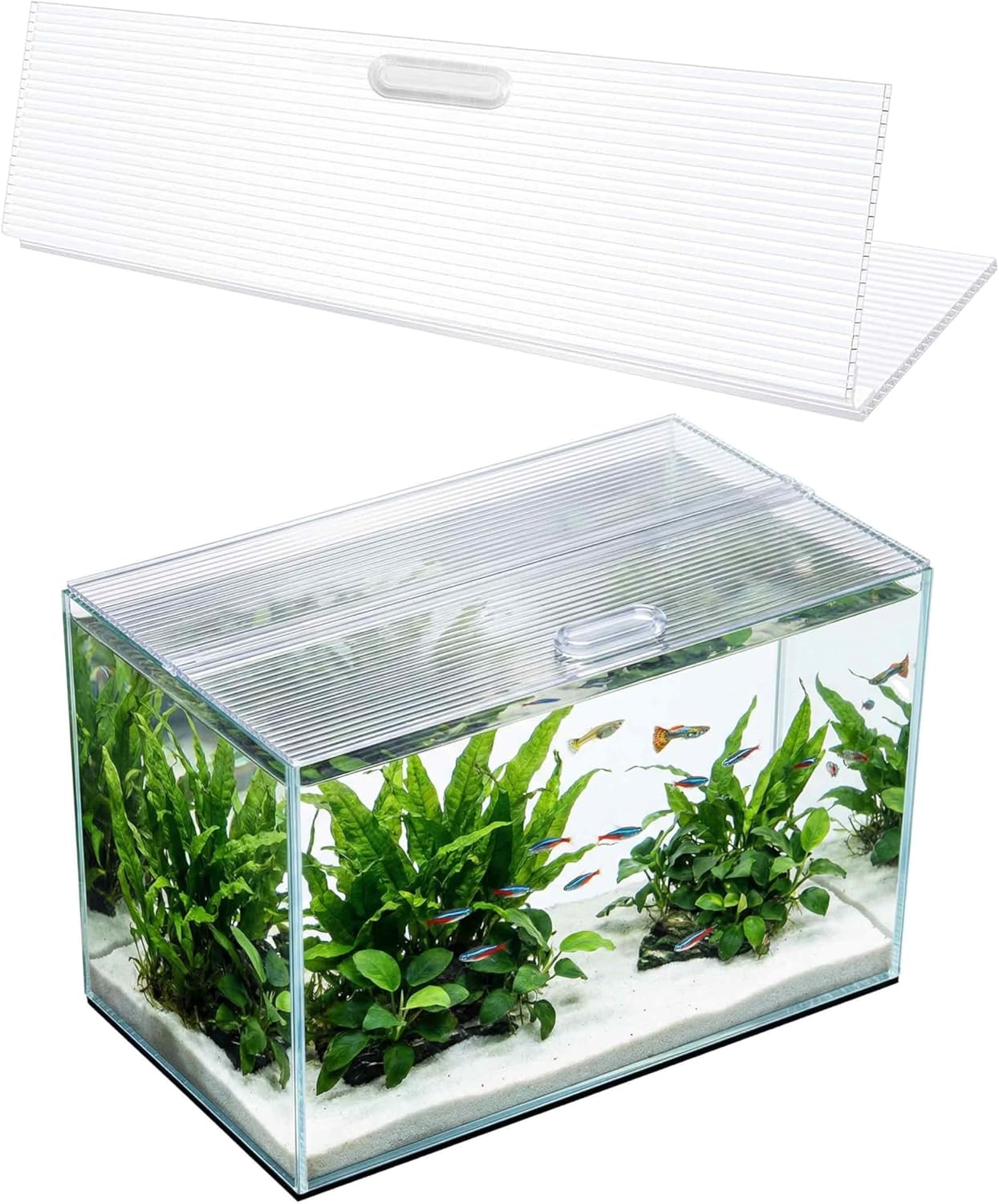 Aquarium Canop Polycarbonate 23.07 x 11.69 x 0.24 for 15/20/29 Gallon Without Center Brace Aquariums Cover Aquarium Lid，Clear