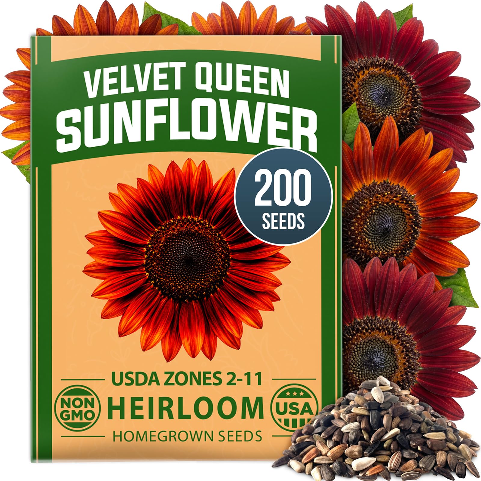 HOME GROWN Sunflower Seeds, Velvet Queen, 200 Seeds, Helianthus annuus