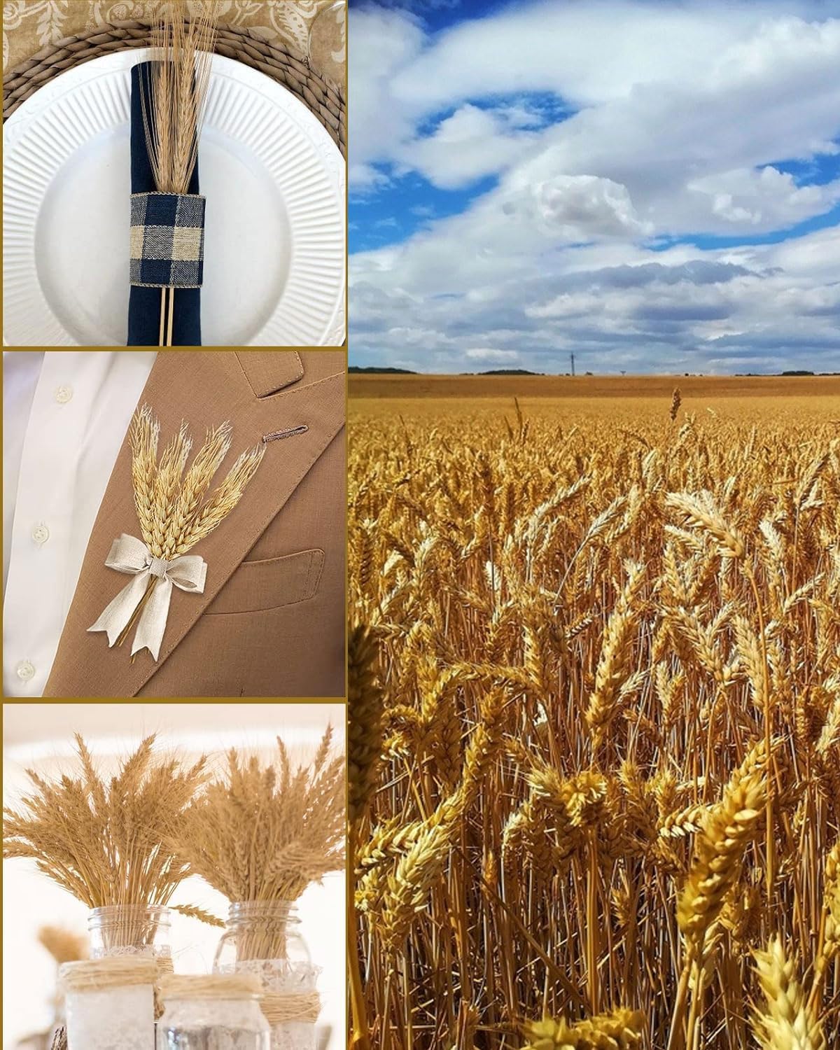 50 pezzi Decorazioni naturali di erba di grano, erba di grano nativa, fiori di erba di grano essiccati, bouquet da sposa, decorazioni per la casa con fiori bohémien