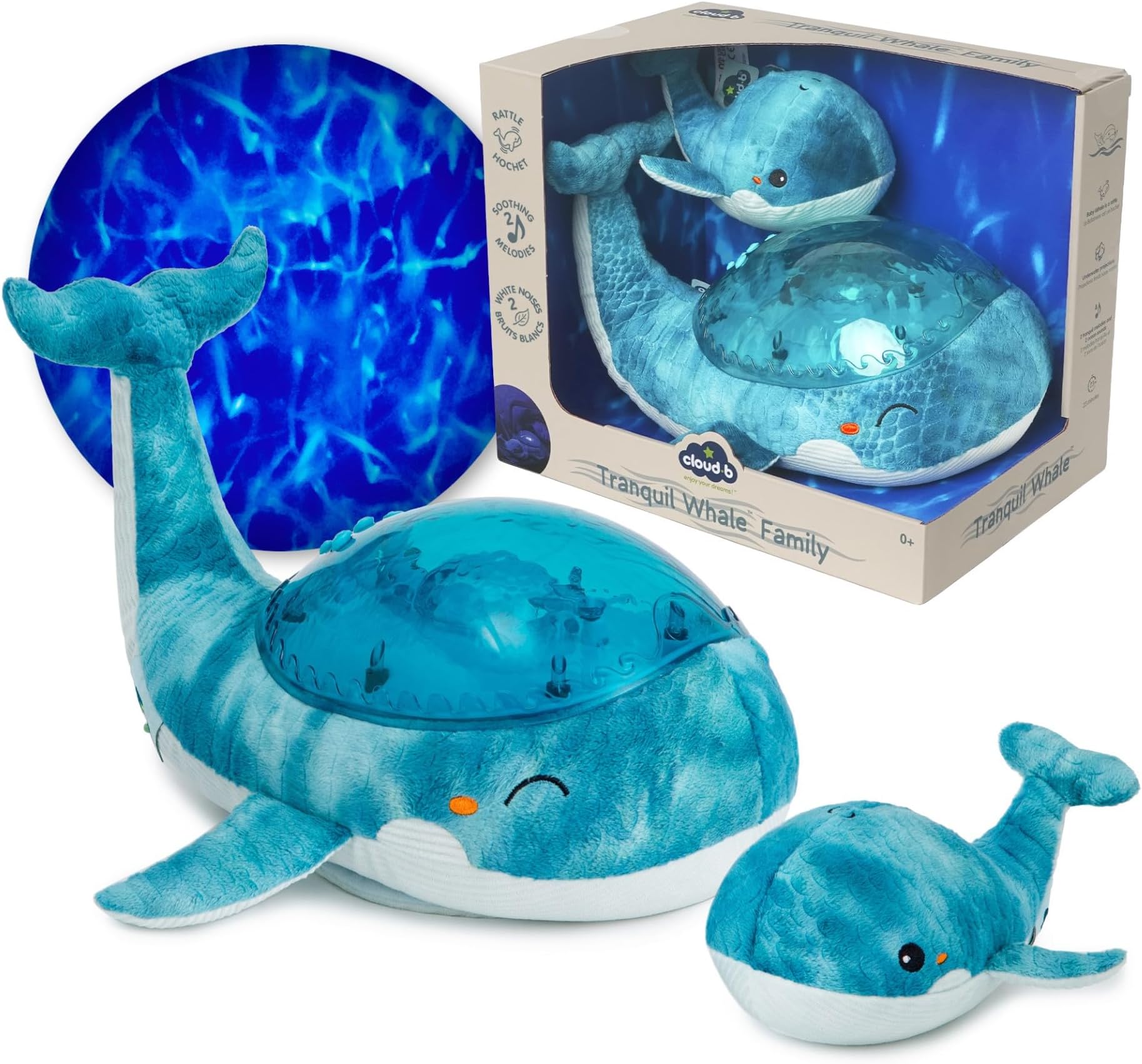 Tranquil Whale