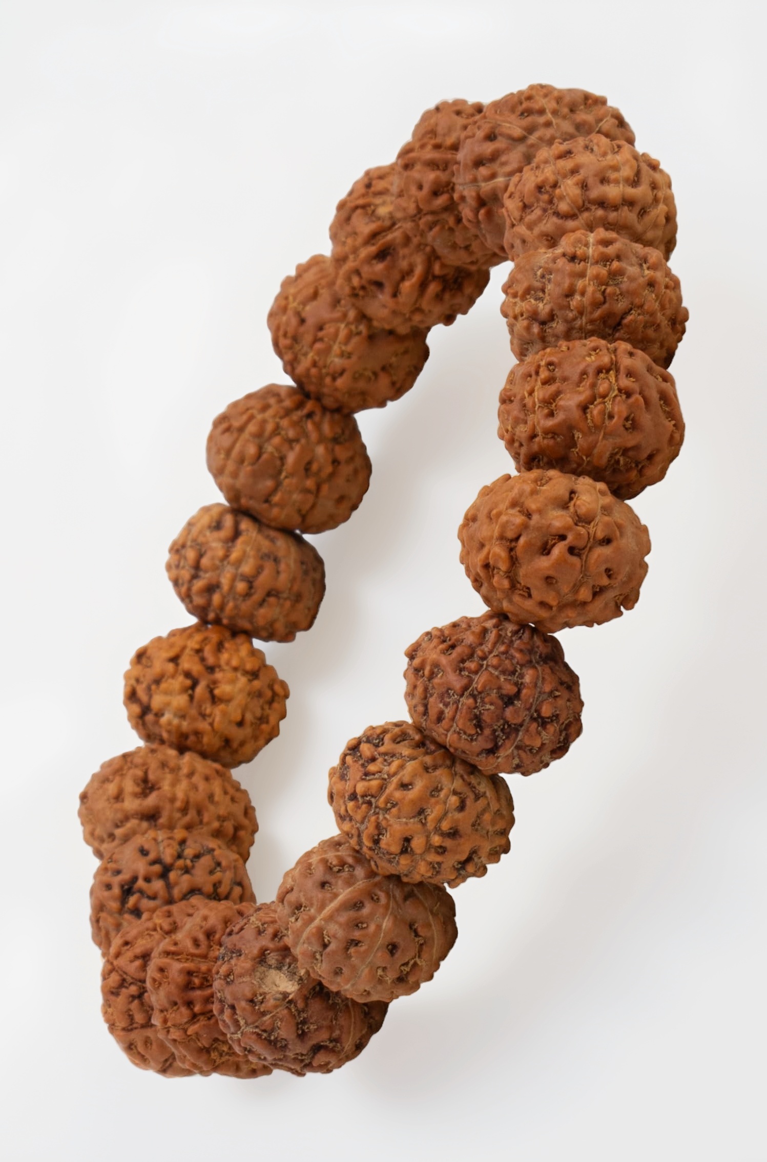 Astrotalk 7 Mukhi Rudraksha Bracelet | Powerful Shield of Positivity & Growth | Natural original Rudraksha Beads | Astrology Unisex Bracelet for Men &...