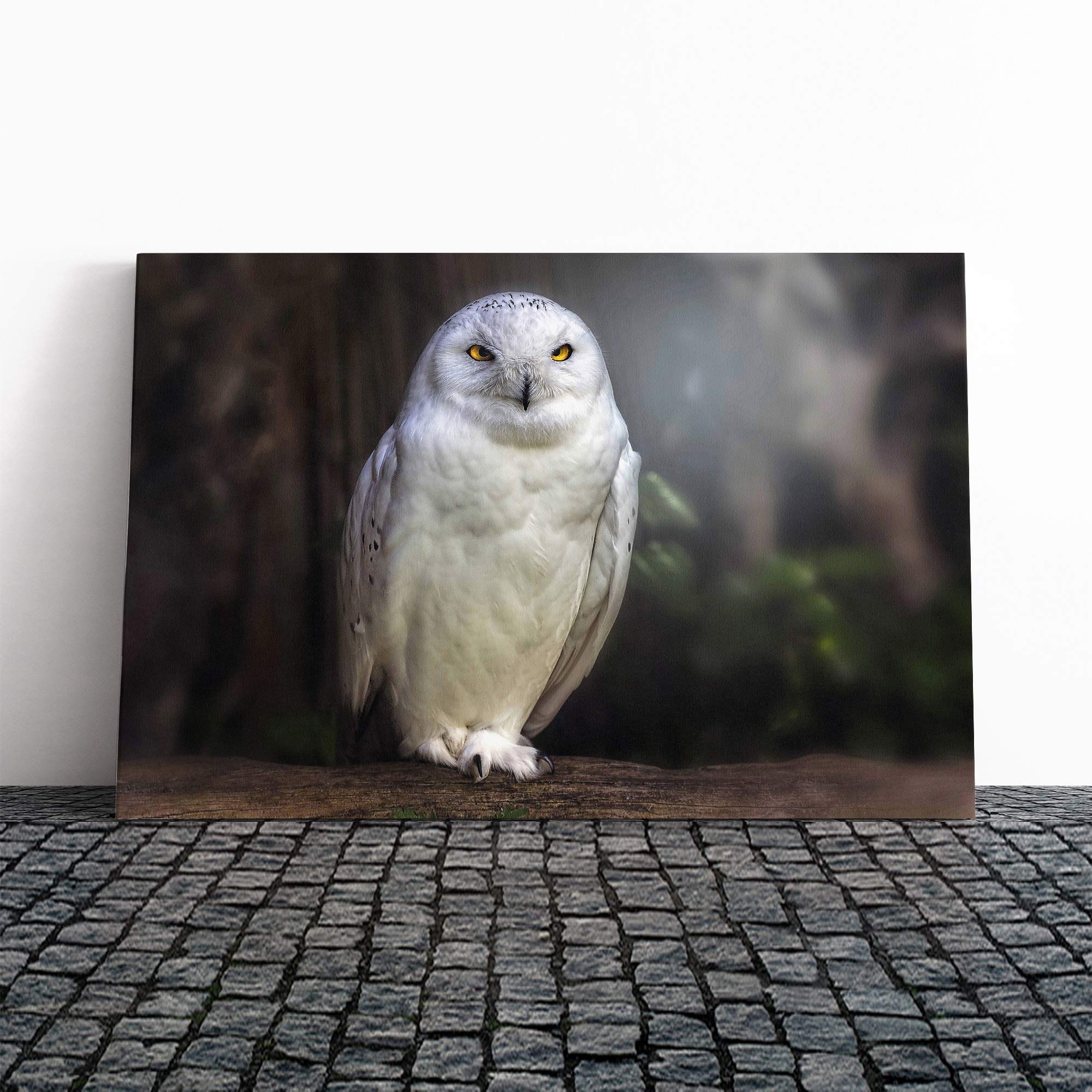 Raptor Owl Bird Canvas Print | Gallery Wrapped 30mm Frame Wall Art | 30x20 inches | Ready to Hang | Modern Animals Picture | Living Room Bedroom Lounge Office