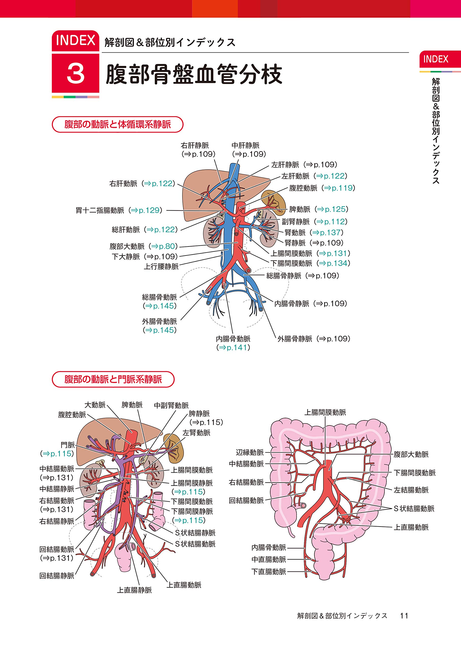 イラストと画像でみる血管内治療に必要な全身血管 メディカルスタッフのための血管内治療シリーズ メディカテ3 阿古 潤哉 本 通販 Amazon