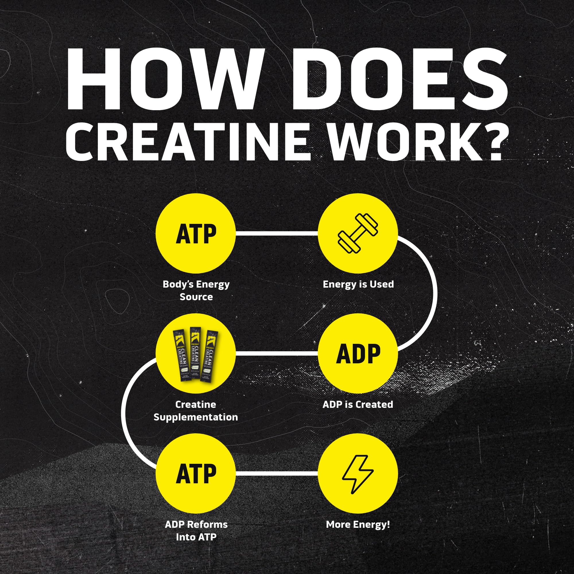 Ascent Clean Creatine Monohydrate, Creapure, Unflavored,15 5G Servings — Amazon image 5