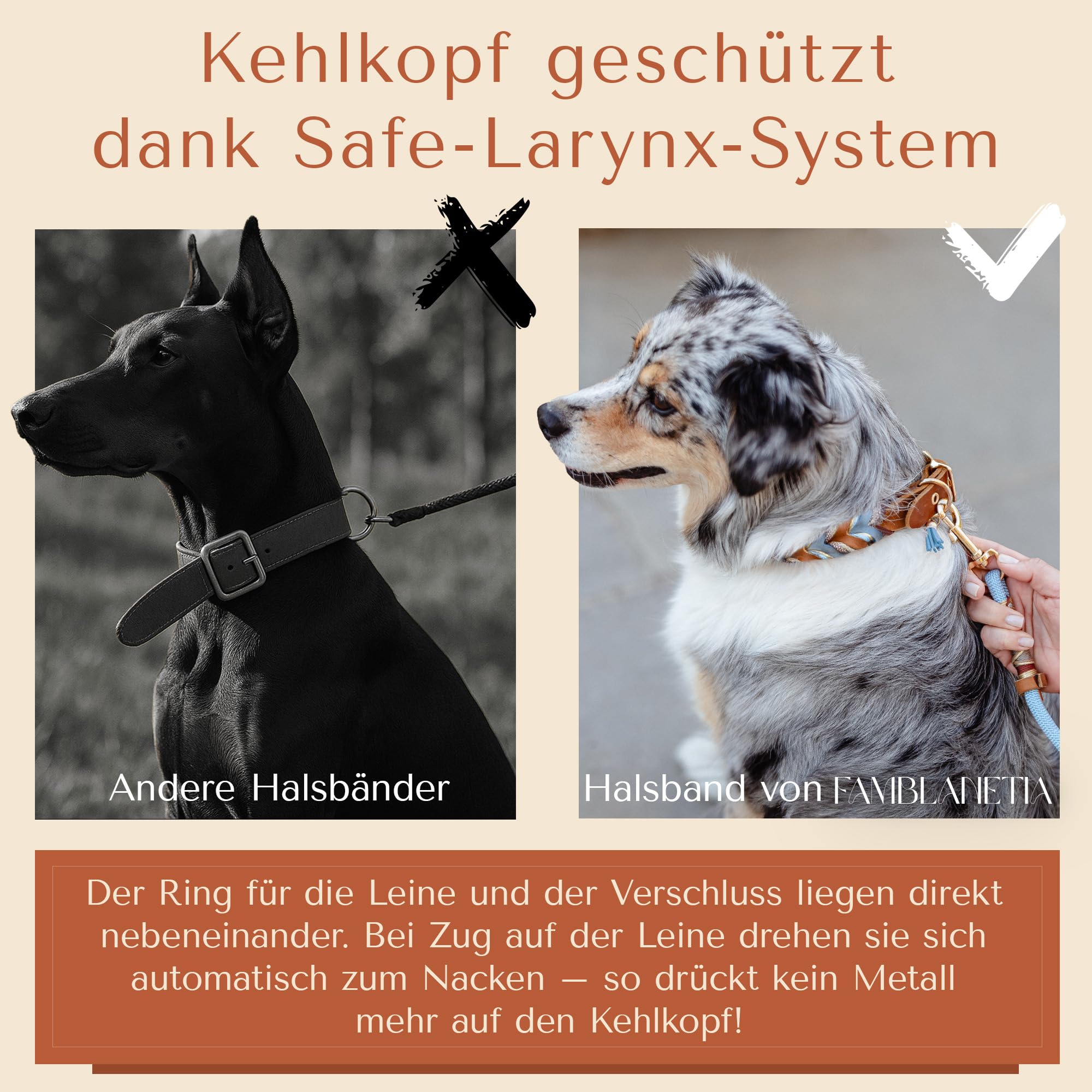 FAMBLANETIA Hundehalsband (M) Leder & Paracord geflochten | Groe, mittlere  & kleine Hunde | 3cm breit | auergewhnlich, ausgefallen | blau braun Gold  | weiches Fettleder | Tau handgemacht : Amazon.de: Haustier
