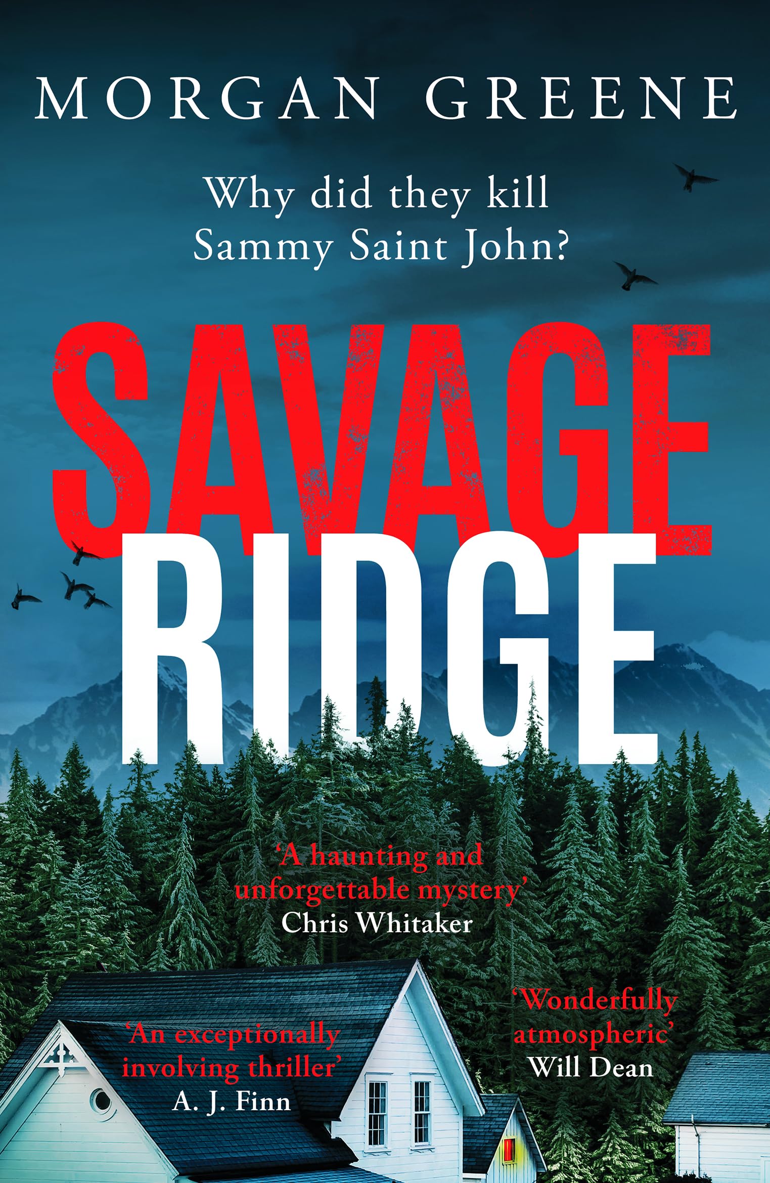 Savage Ridge: A darkly atmospheric dual timeline crime thriller