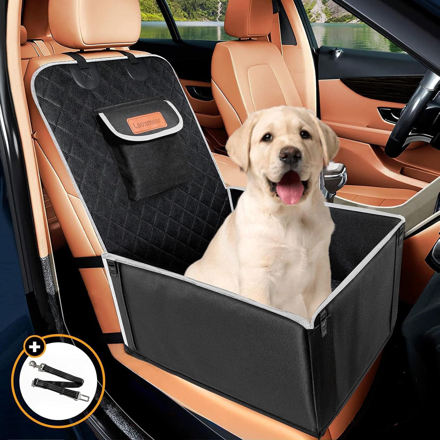 Looxmeer Hunde Autositz Extra Stabiler für Kleine Mittlere Hunde, Auto Hundesitz mit Verstärkte Wände und Sicherheitsgurte, Wasserdicht Hundeautositz für Rück- und Vordersitz