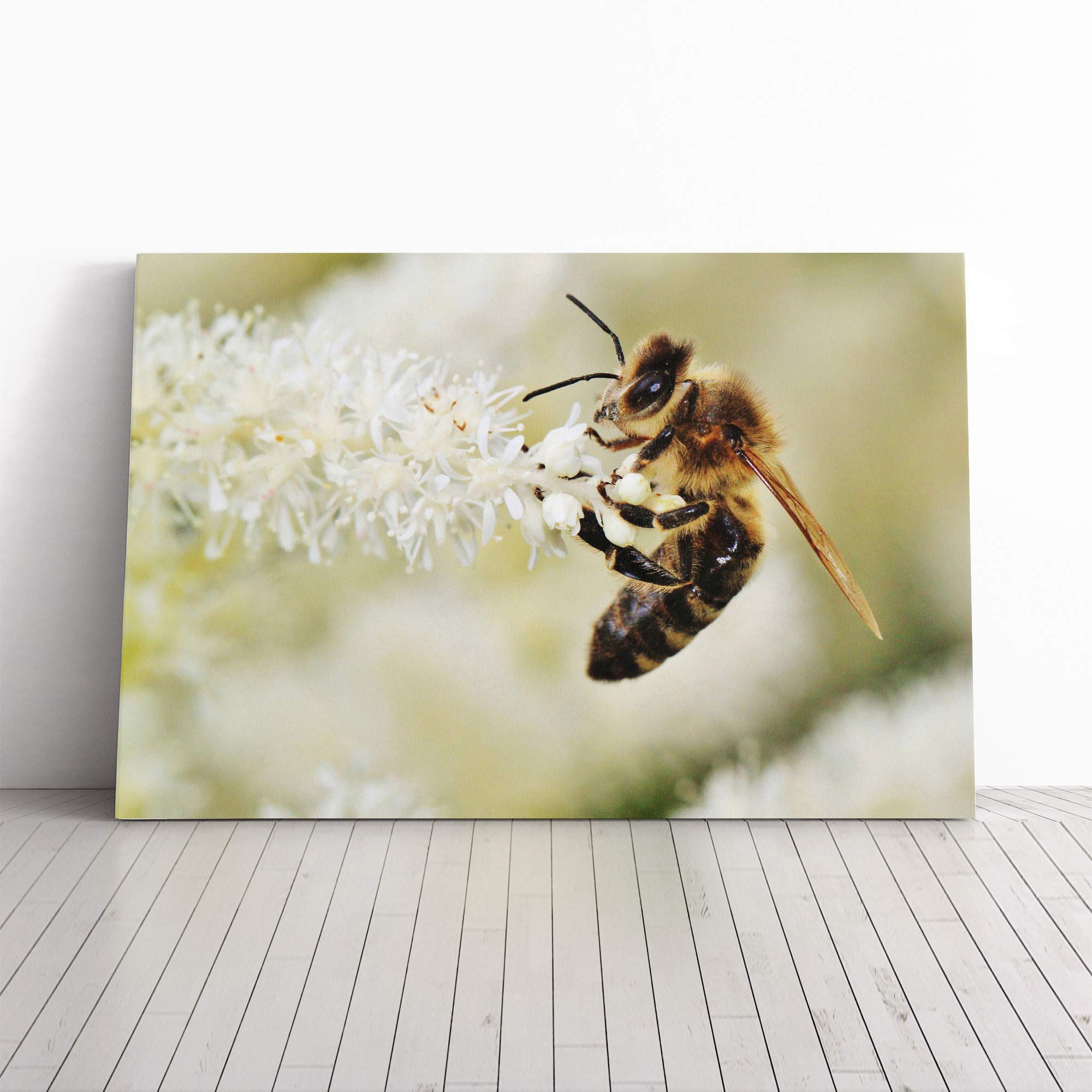 Bumble Bee Collecting Pollen (2) Canvas Print | Gallery Wrapped 30mm Frame Wall Art | 30x20 inches | Ready to Hang | Modern Animals Picture | Living Room Bedroom Lounge Office