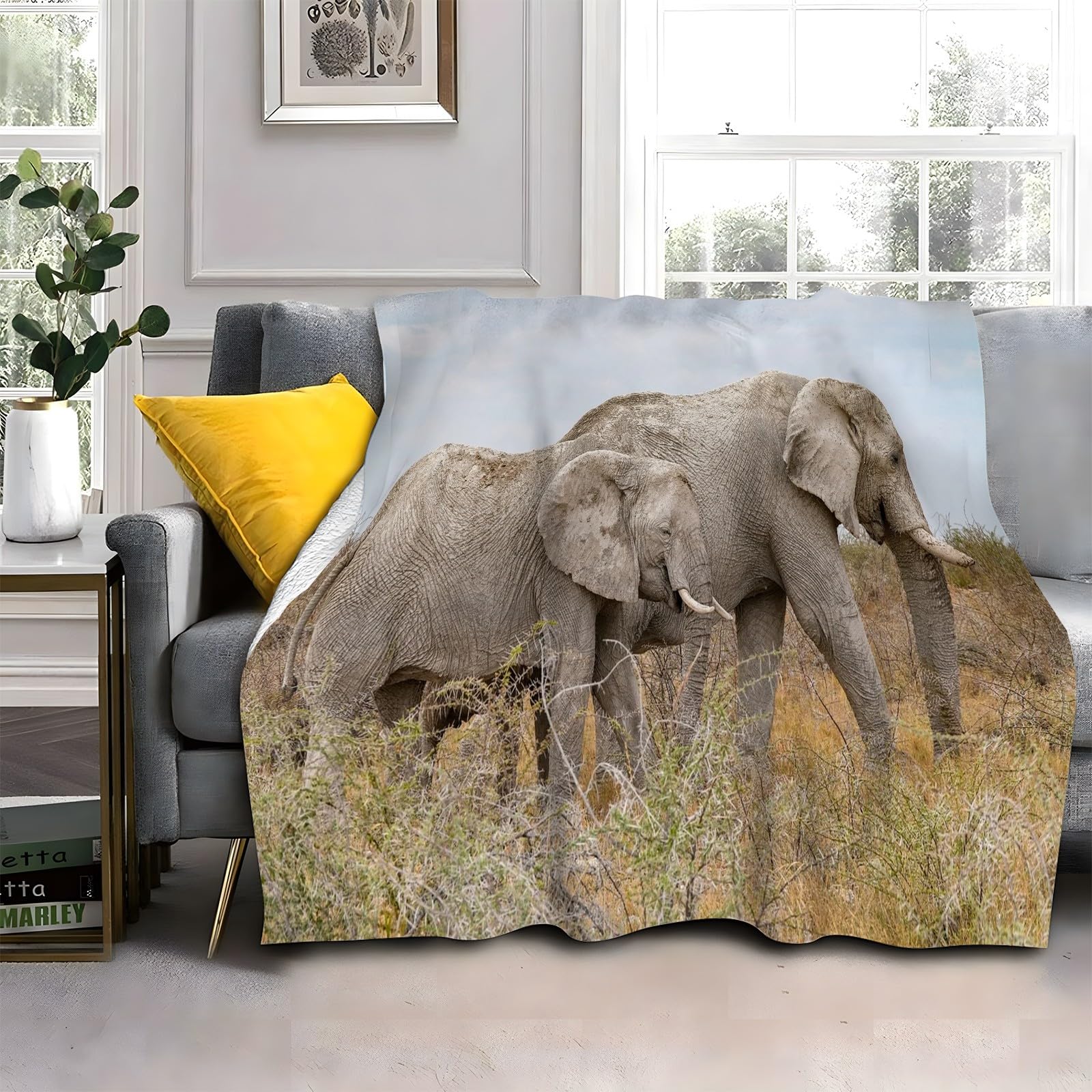 Koc na trawę Słoń Koc na łóżko pojedyncze Ciepło Miękkie, puszyste koce na sofę flanelowe 180 x 200 cm na wszystkie pory roku