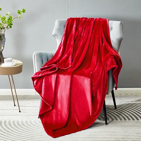 DREAMNINE Extra Soft Fuzzy Fleece Throw Blanket for Couch Sofa Chair 50
