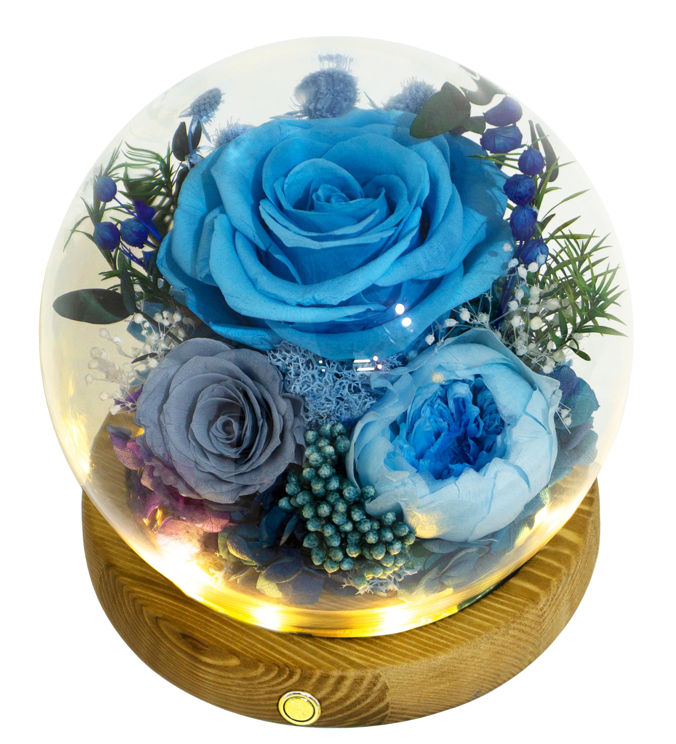 Valley of Rain & Forest Long-Lasting Real Flowers, Unique Floral Gift For you to send Love for All Occasions, for Indoor Decoration (Blue Rose, Grey & White-Blue Austin Roses)