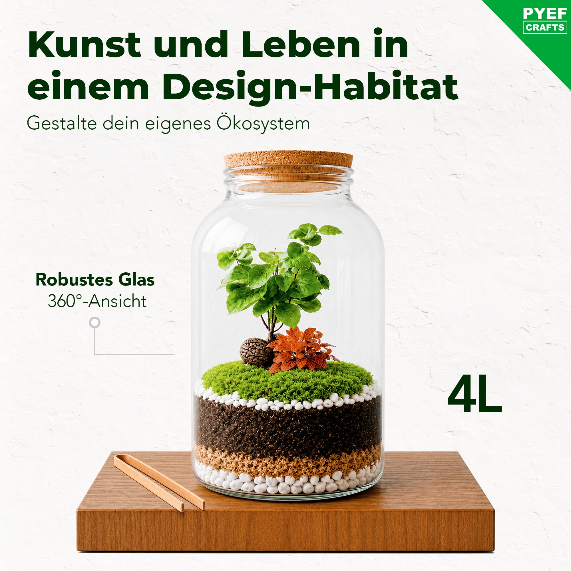 Flaschengarten Komplettset XL für Ökosystem im Glas - 4L Terrarium Pflanzen für Biotop Im Glas - Biosphäre Terrarium Set - Kit Ohne Pflanze (Flaschengarten Groß 4L)