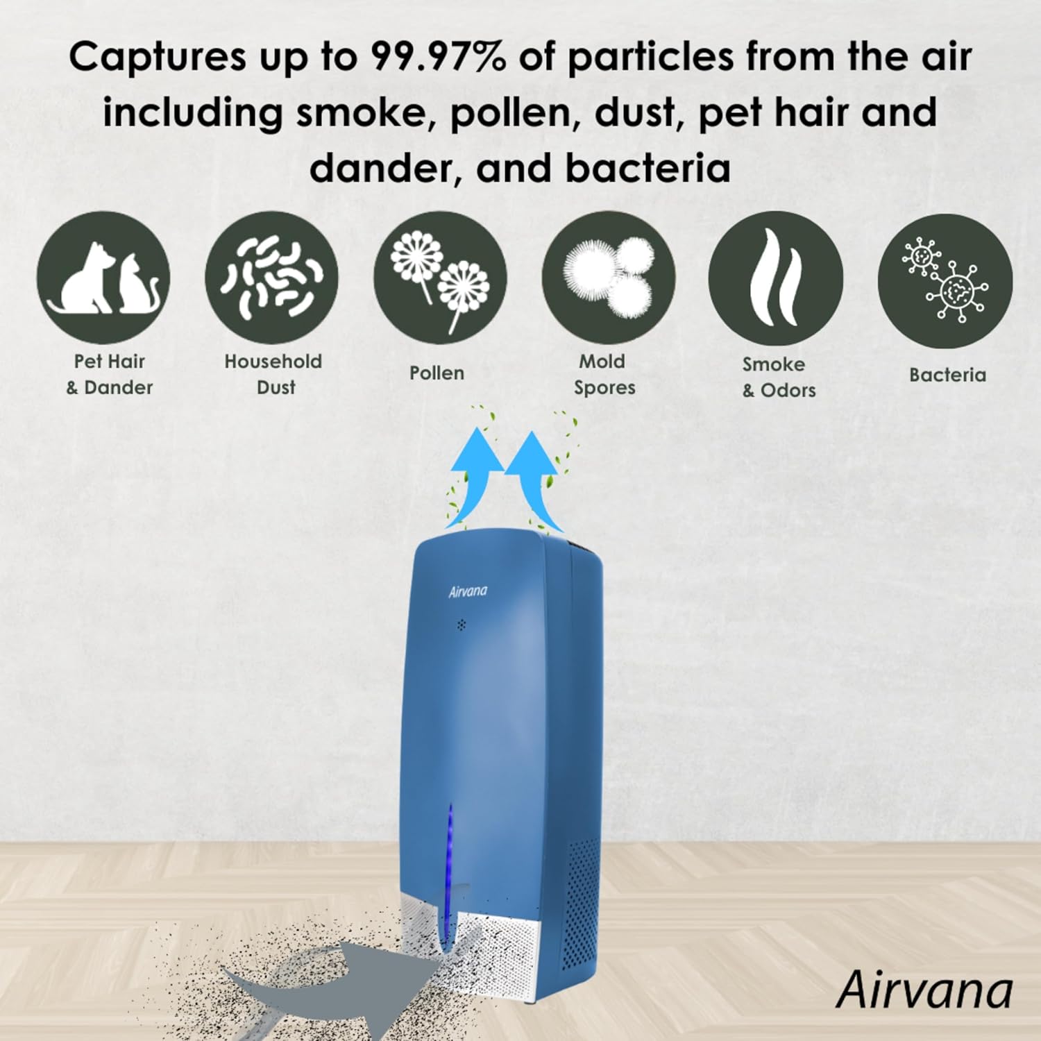 Diagram showing air purifier capturing particles like pet hair, dust, pollen, mold spores, smoke, and bacteria