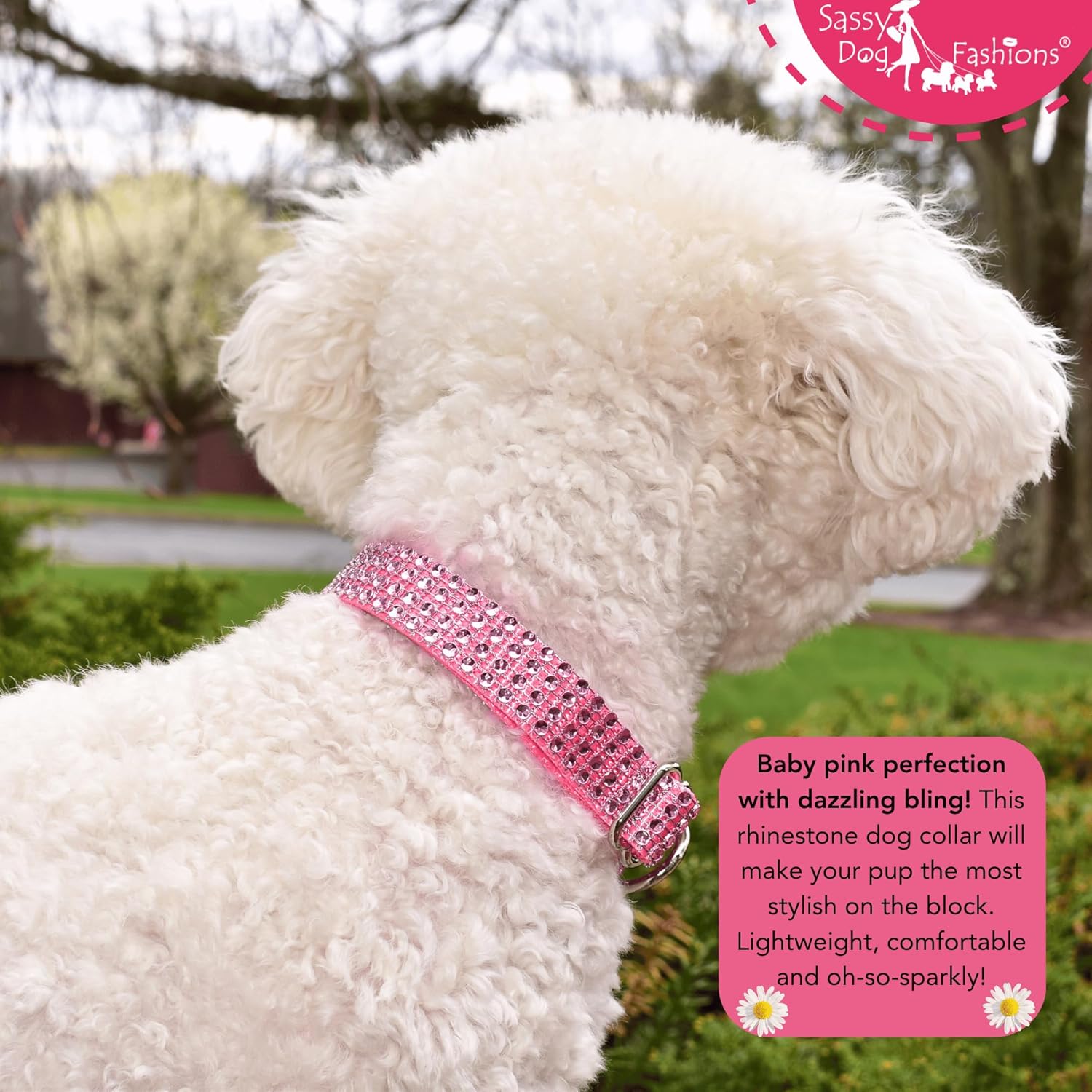 Fancy Engraved Rhinestone Dog Collar and Leash, Handmade USA, Faux Diamond Bling Dog Collars Gift, Resin Personalized Rhinestones Collar for Pet Puppy Small Medium Large Dogs (Pink, Medium 1 x 10-17")