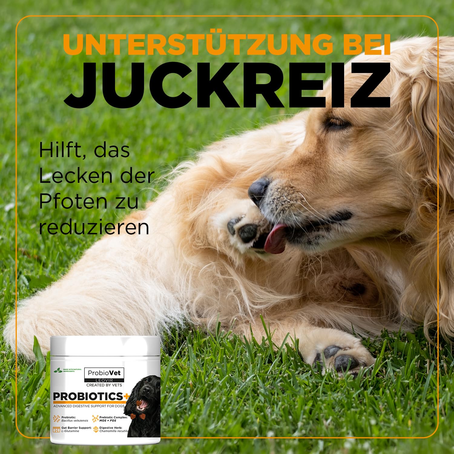 ProbioVet+ ANTI-PRURITO e Sollievo Leccamento Zampe - Stop al Grattamento - Probiotici Cani con Bacillus Velezensis e L-Glutammina - Salute Intestinale e Immunitaria - 60 Snack
