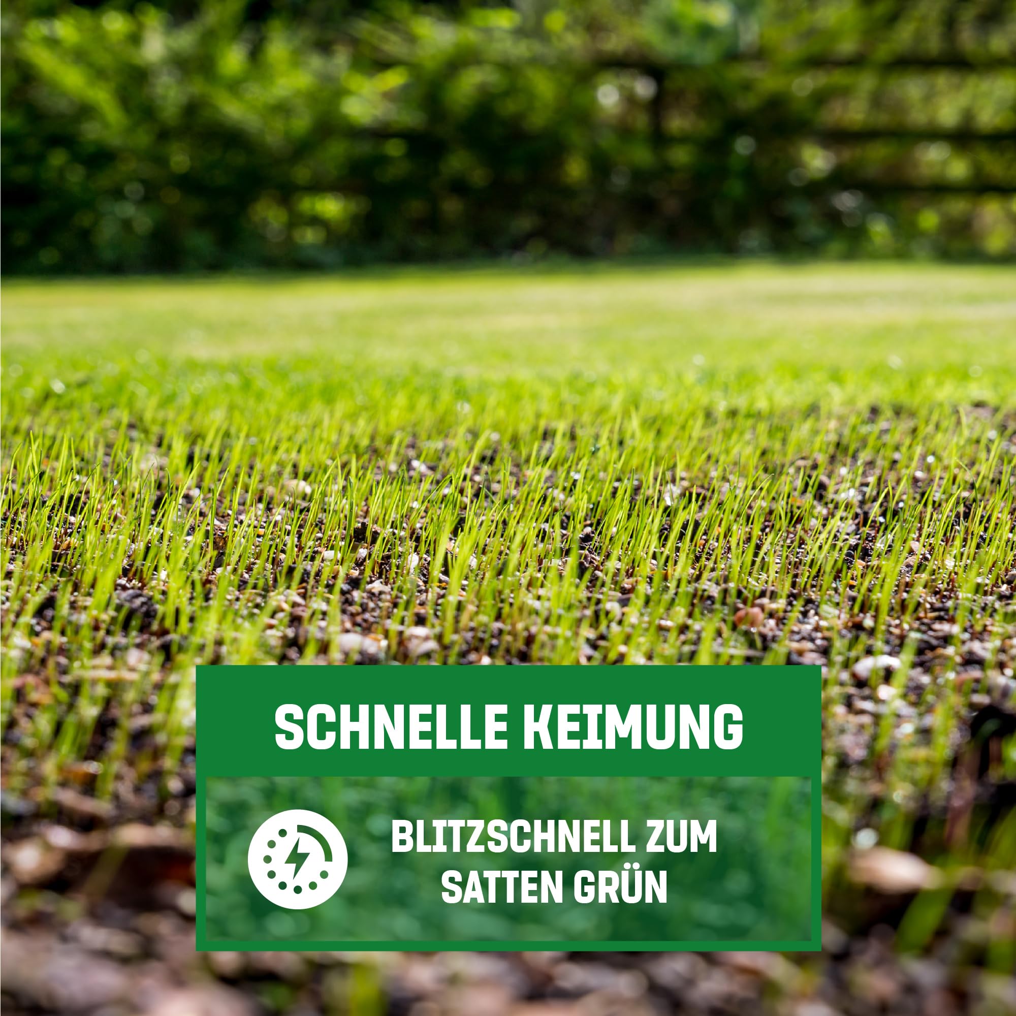 GardenGloss Semi Prato Germinazione Rapida - 5 kg per 250m2 - Germania | Per Trasemina e Nuovi Prati - Germinazione Rapida - Prato Folto e Denso