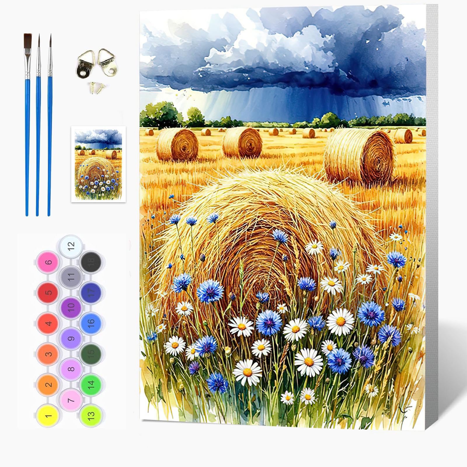 Auremi DIY Landscape Paint by Numbers for Adults Kids-Grassland Canvas Oil Painting Kit for Adults,Craft Art Painting with Wooden Frame Kit Acrylic Pigment Drawing Paintwork for Gift Home 20x30cm