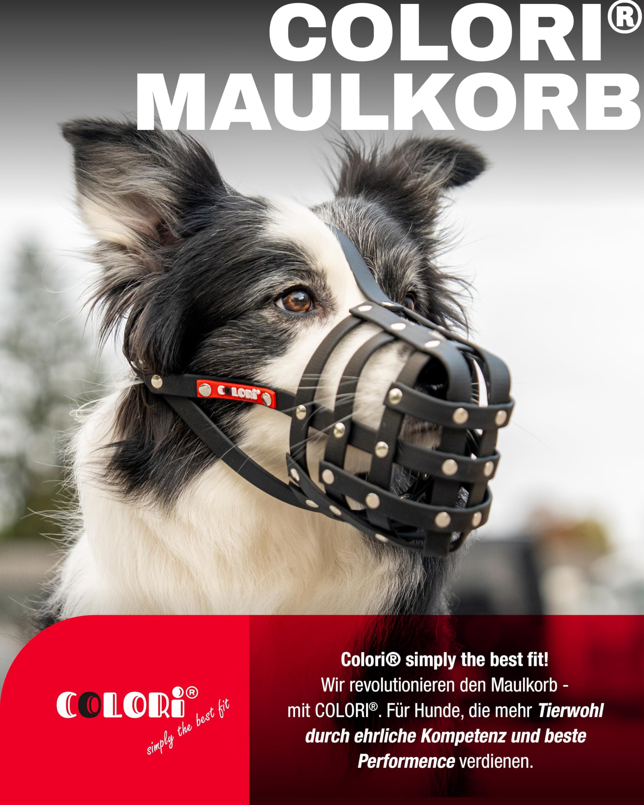 COLORI®-Maulkorb für mittlere Hunde, Größe 6, LIGHT BROWN - Natürliches Hecheln & Trinken, Sanfter Tragekomfort, Schützt beim Schnüffeln/Stöbern, Erschwert die Aufnahme unerwünschter Dinge