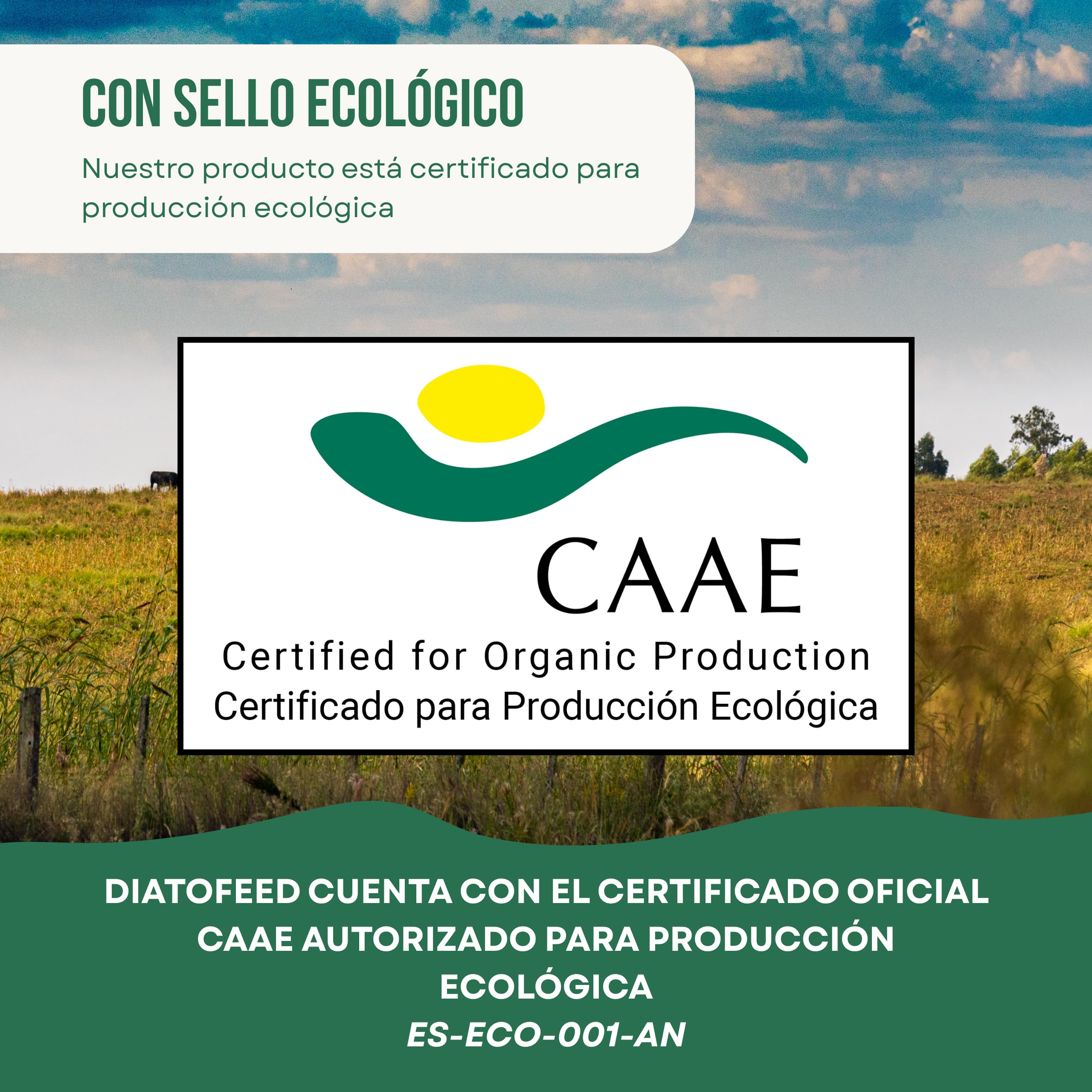 ECO Tierra de Diatomeas® Micronizada 5kg+1kg – Complemento mineral a base de Tierra de Diatomeas, Sin Calcinar, para Alimentación Animal – Seguridad, Calidad y Compromiso desde 2015