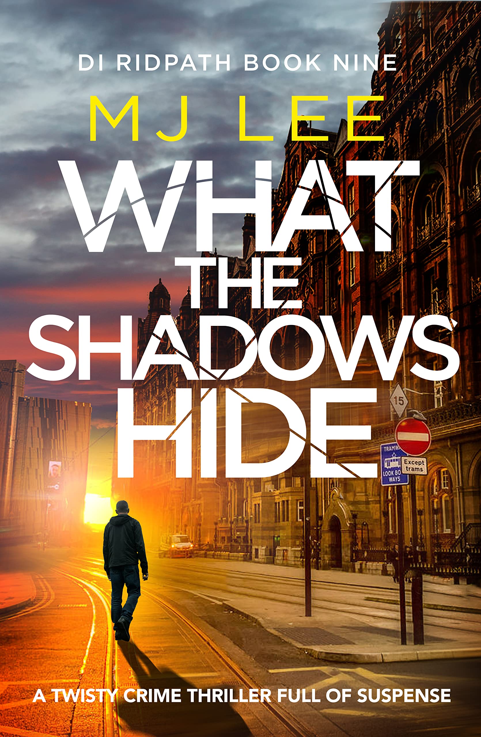 What the Shadows Hide (DI Ridpath Crime Thriller Book 9)