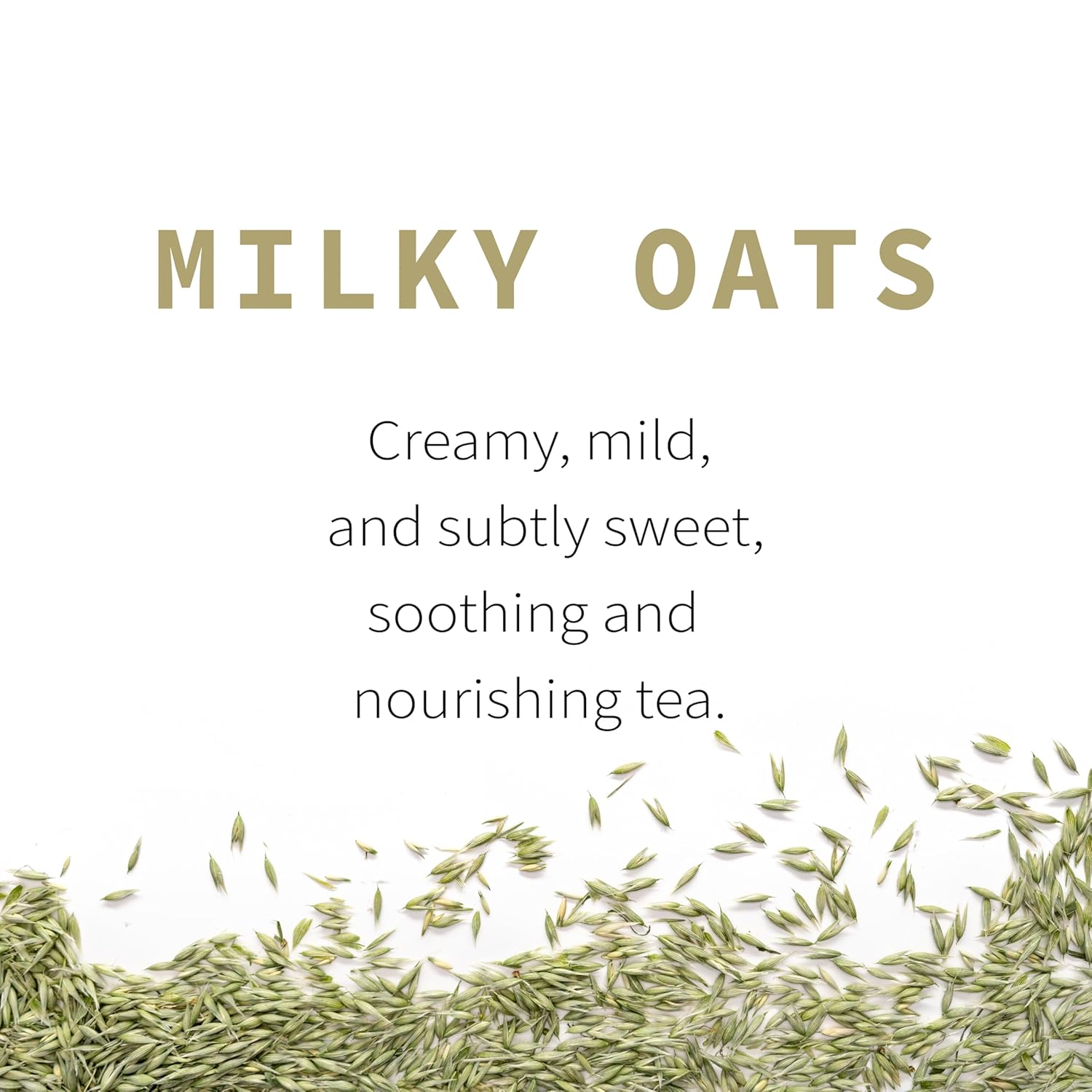 Milky Oats, Organically Grown in Wisconsin | 5.6 oz | 79 Servings | Sacred Blossom Farm | Herbal Tea & Medicinal Herbs | Loose Leaf | Regenerative Farming | Single Source | Avena Sativa