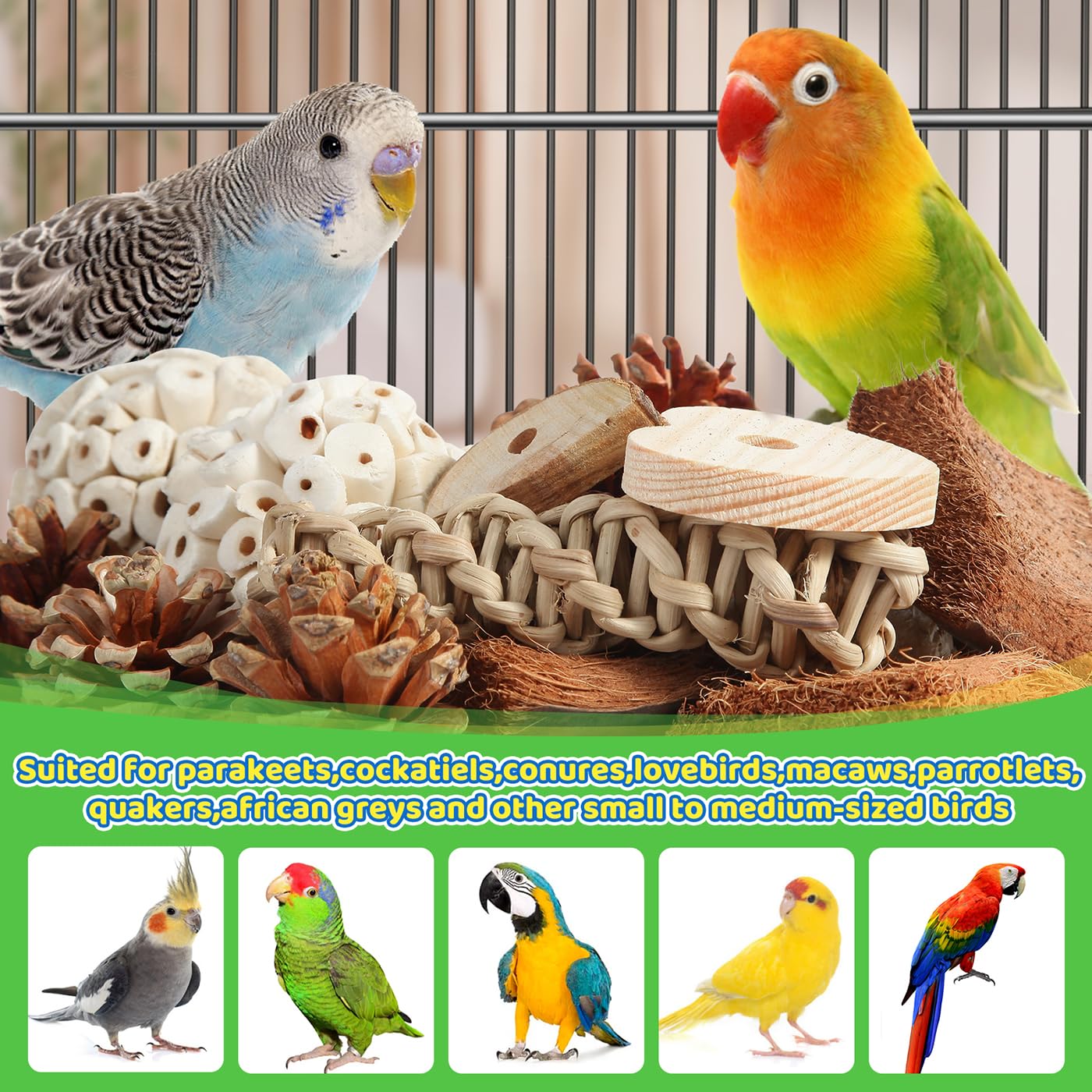 Kyouki Vogelspielzeug, Papageienspielzeug, natürliches Vogelfutterkasten, Fußspielzeug für Sittiche, Nymphensittiche, Sittiche, Liebesvögel und andere kleine bis mittelgroße Vögel (groß)
