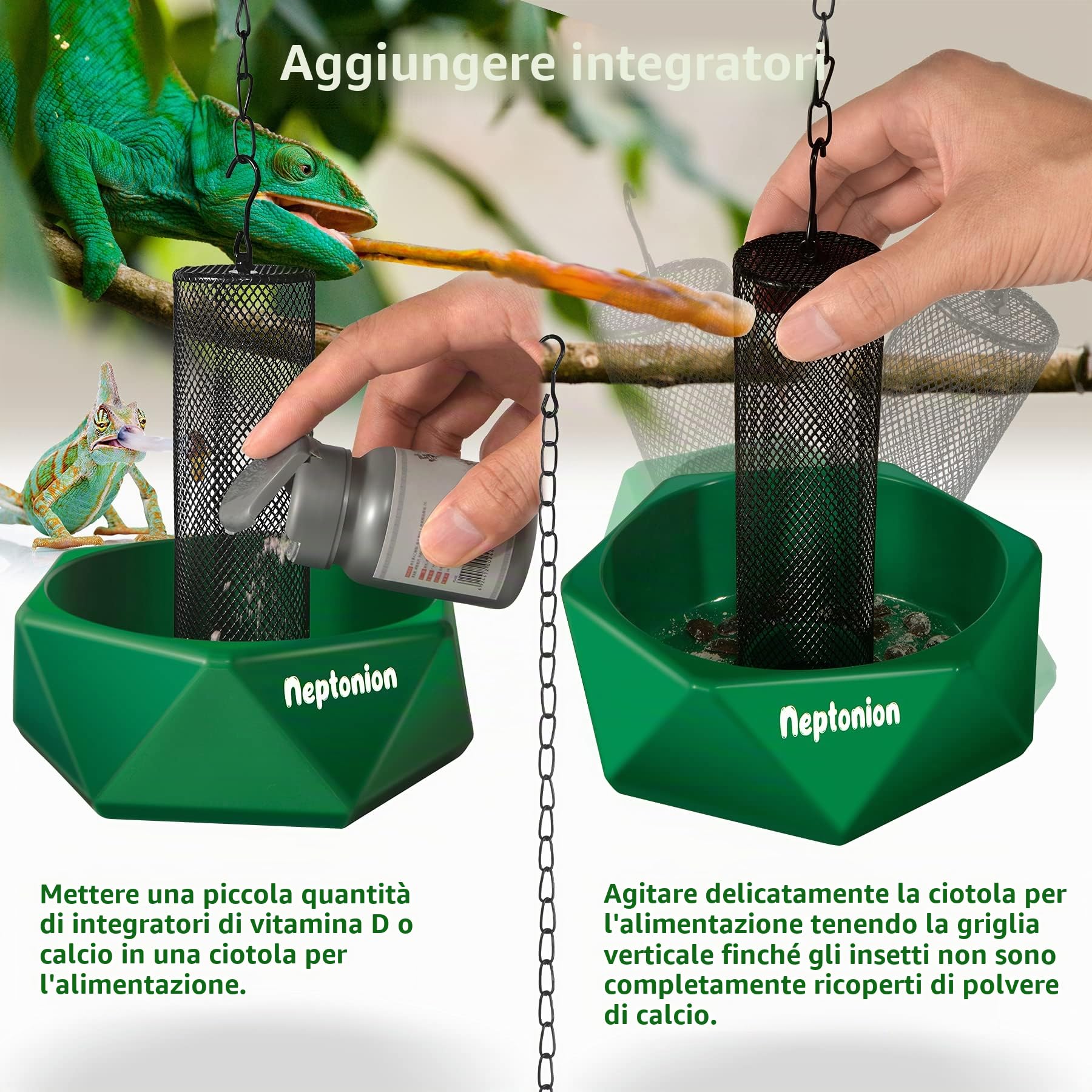 Ciotola per insetti camaleonte agganciabile con colonna per arrampicarsi e muoversi, adatta per lucertola, drago barbuto, iguana, geco, rospo, rana