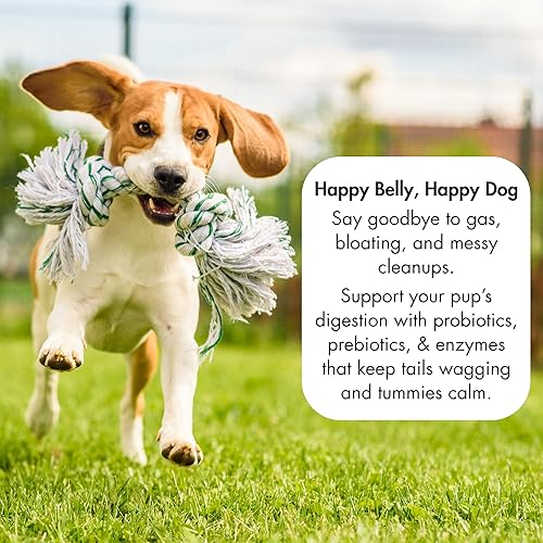 Miniatura 2 de Champ's Armor Apoyo digestivo 3 en 1 probióticos diarios para perros, con prebióticos y enzimas digestivas, para la salud intestinal y el sistema