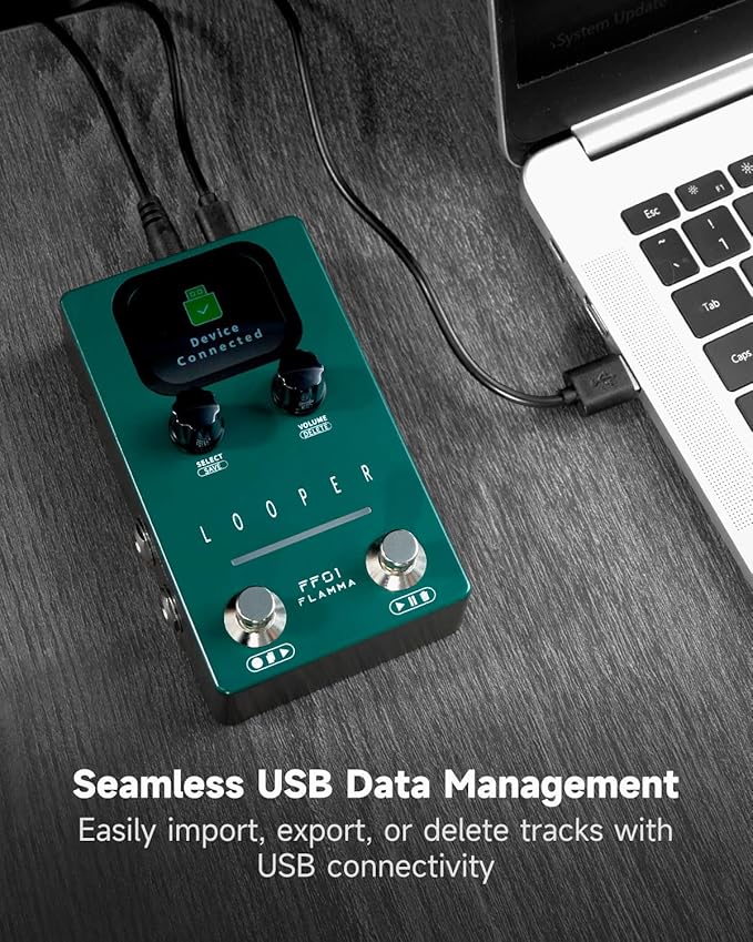 Pedal De Efectos FLAMMA FF01 Looper para Guitarra Eléctrica/ miniatura 5