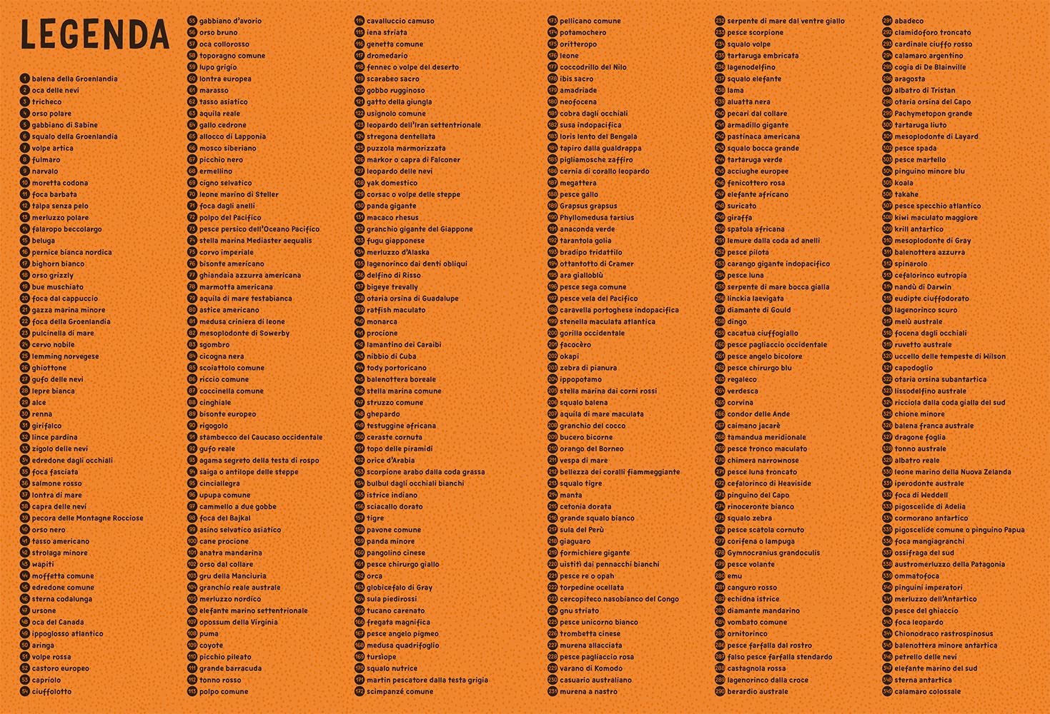 Animali sulle mappe. Il puzzle e il libro di attività. Con puzzle