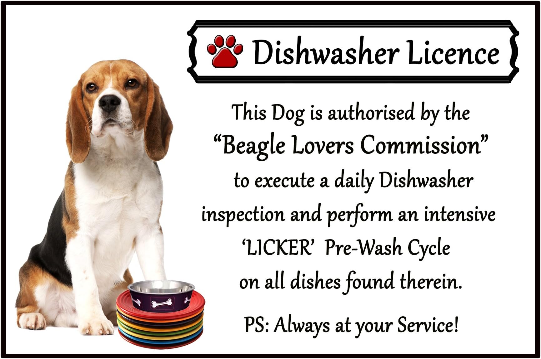 Beagle Hound Lover Gift - Fun Dishwasher Licence Flexible 6" x 4" Magnet