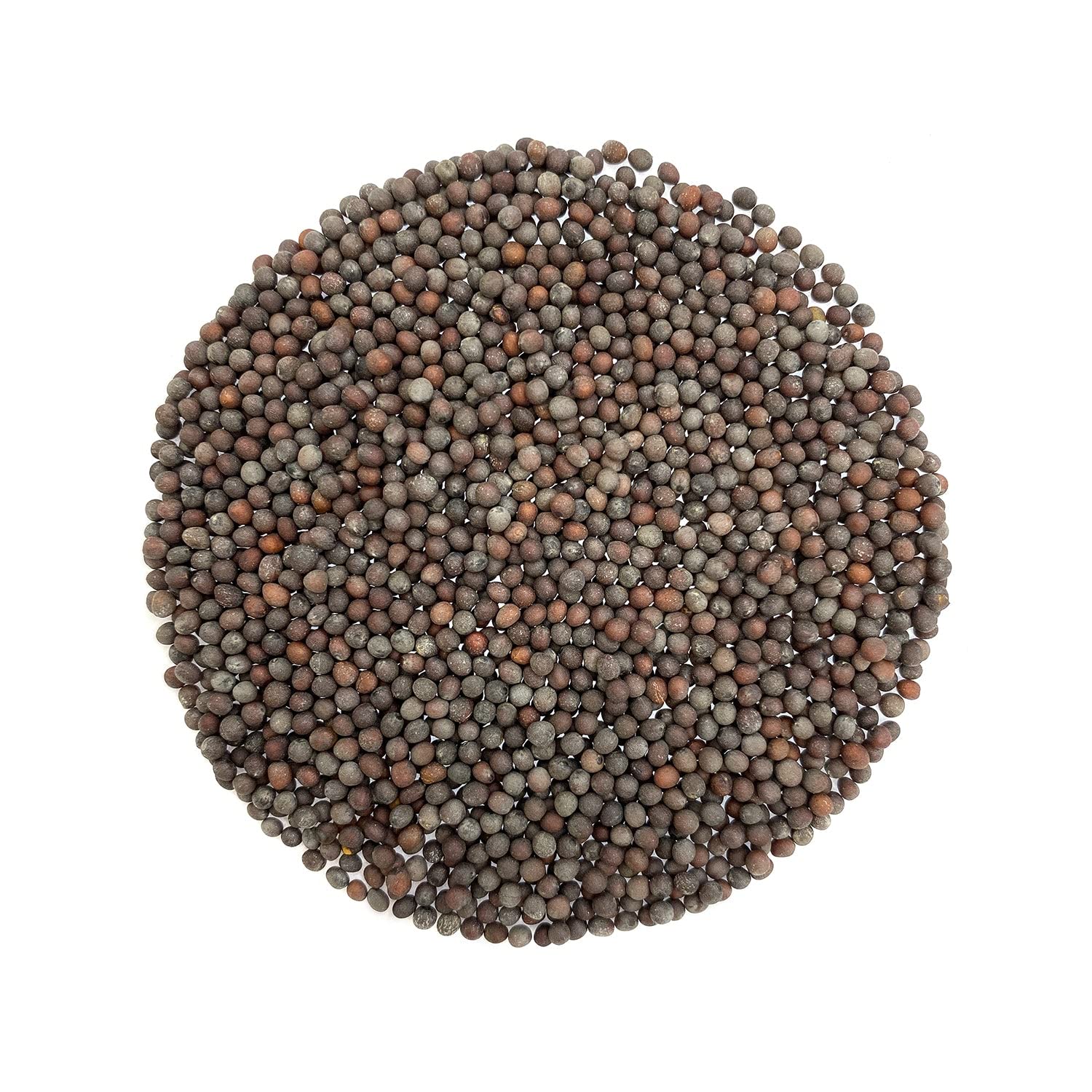 Green World Pusa Mustard 32 variety seeds/Sarso ke beej for Farming and Agricuture (1 Kg x pack of 1) (B0BBCSSY73) Amazon Price History, Amazon Price Tracker