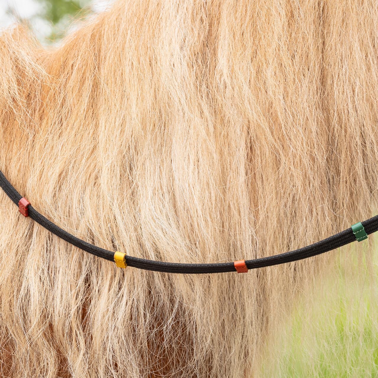 QHP Riendas para Paradas de Caballos de Color