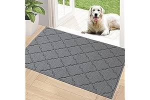 Timo Indoor Doormat 2x3 Non-Slip Area Rug