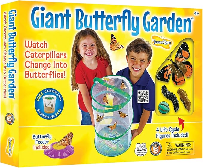 Insect Lore Giant Butterfly Garden Kit (Packaging May Vary) Amazon.co