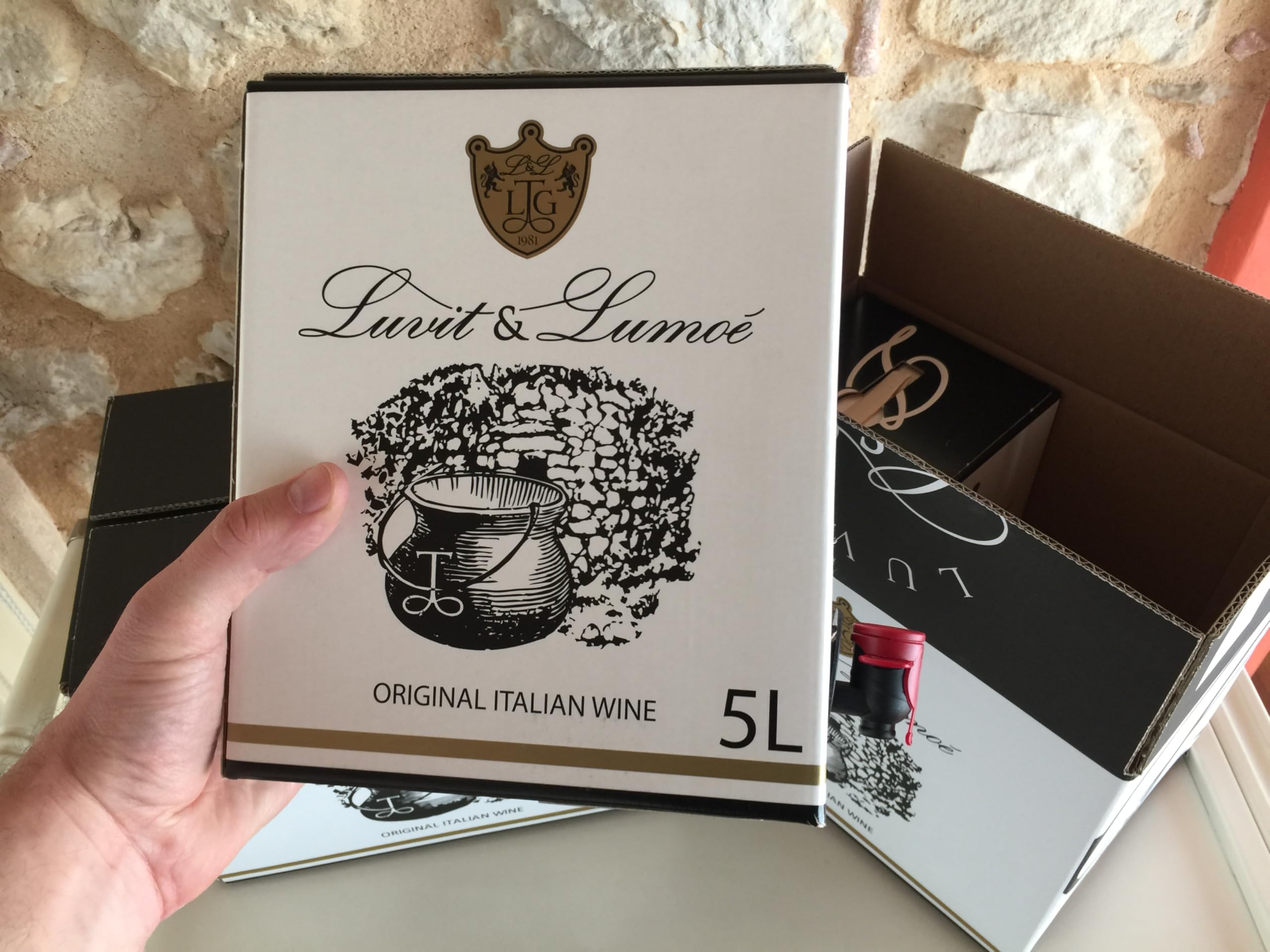 Luvit & Lumoè | Glera IGT Veneto | Italienischer Weißwein | Bag in Box | 2 X 5 Liter = 13 Flaschen