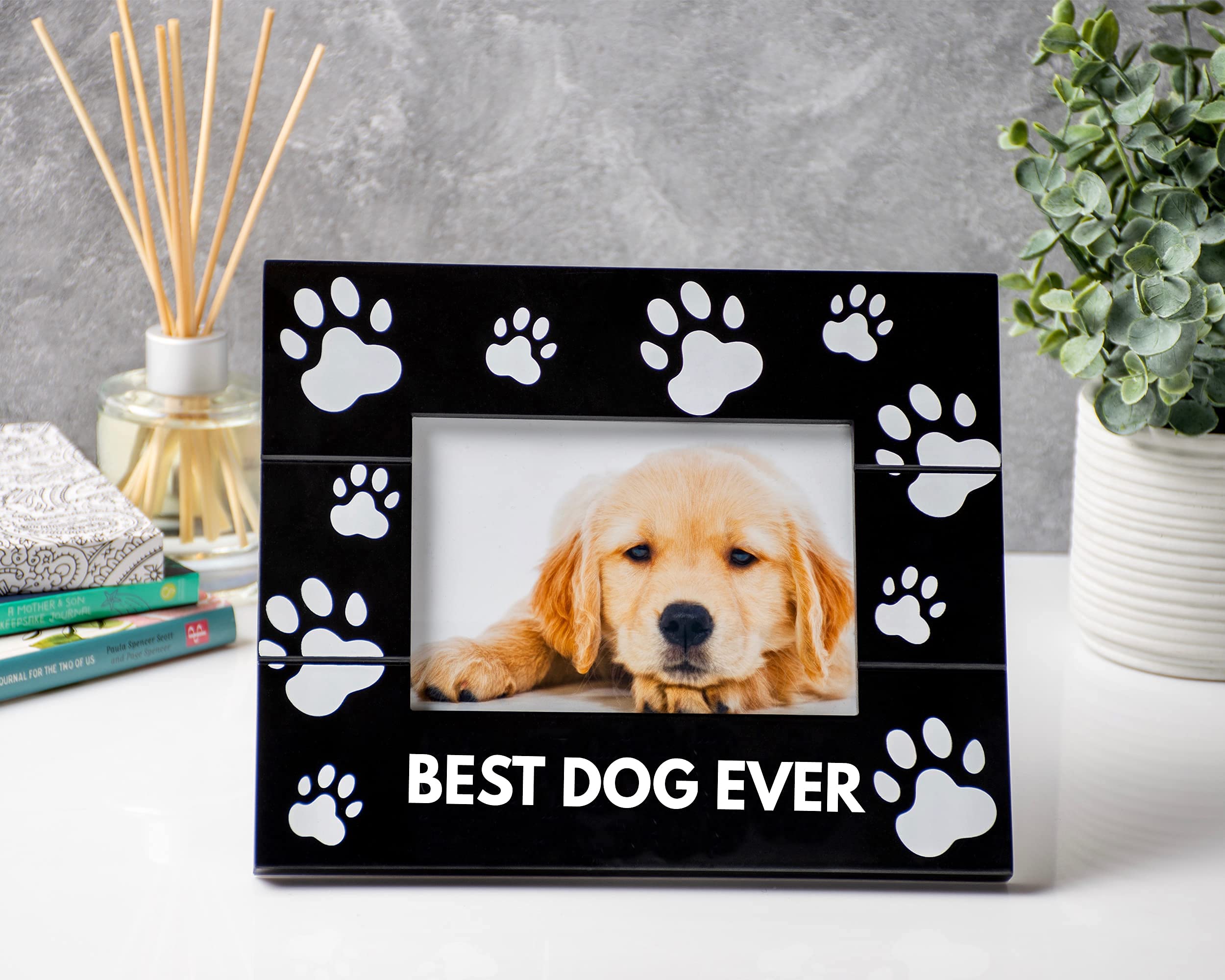 Buy Dog Memorial Picture Frame With Sympathy Card and Poem, A Beautiful