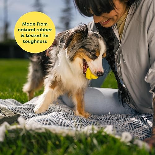 Miniatura 6 de Earth Rated Pelota para perros pequeños, medianos y grandes, juguete duradero de goma natural para perros y cachorros, para uso en interiores y