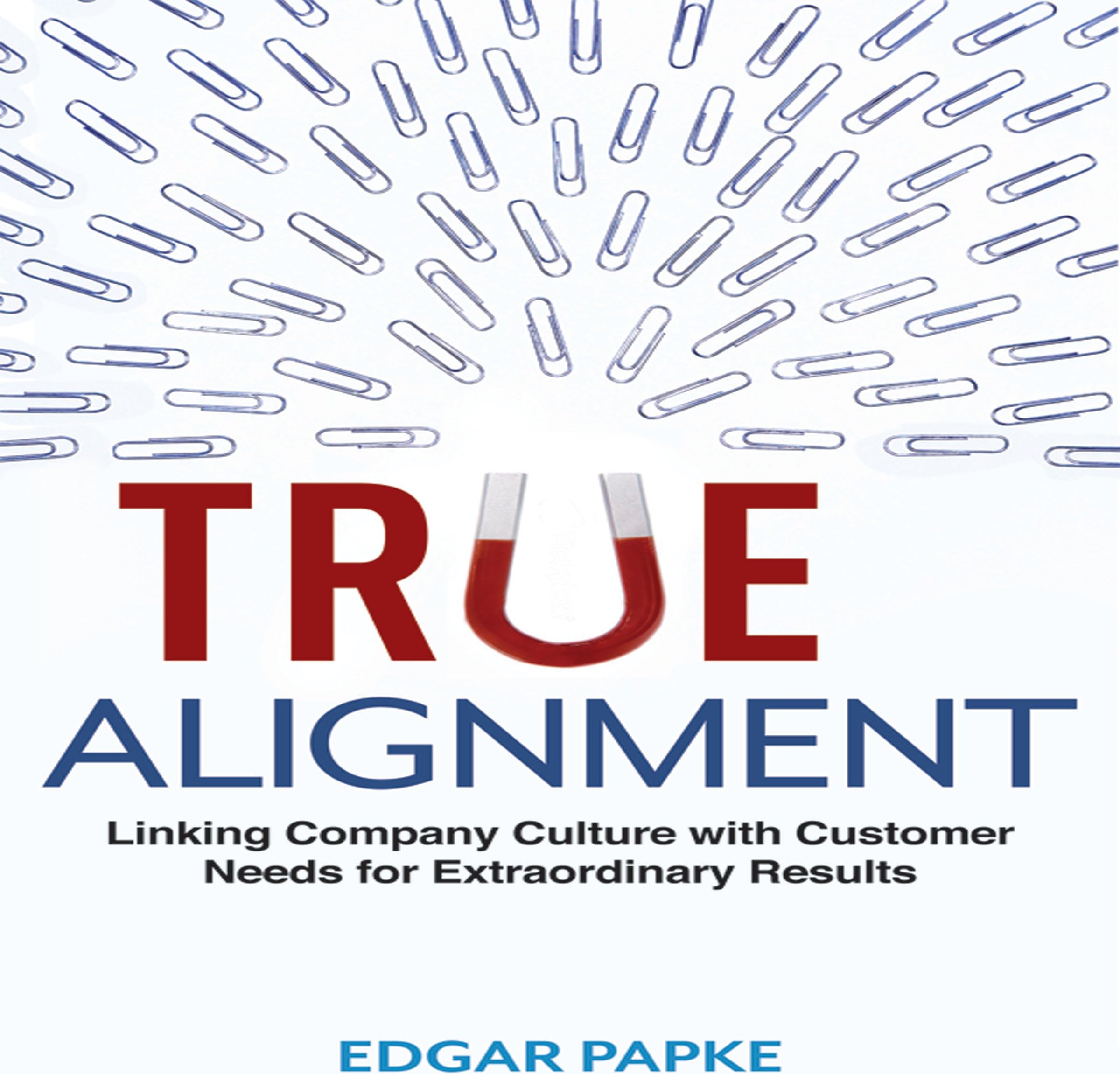 True Alignment: Linking Company Culture with Customer Needs for Extraordinary Results