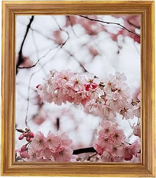 雑誌『FRAME』44冊 雑誌『FRAME』44冊 雑誌『FRAME』44冊