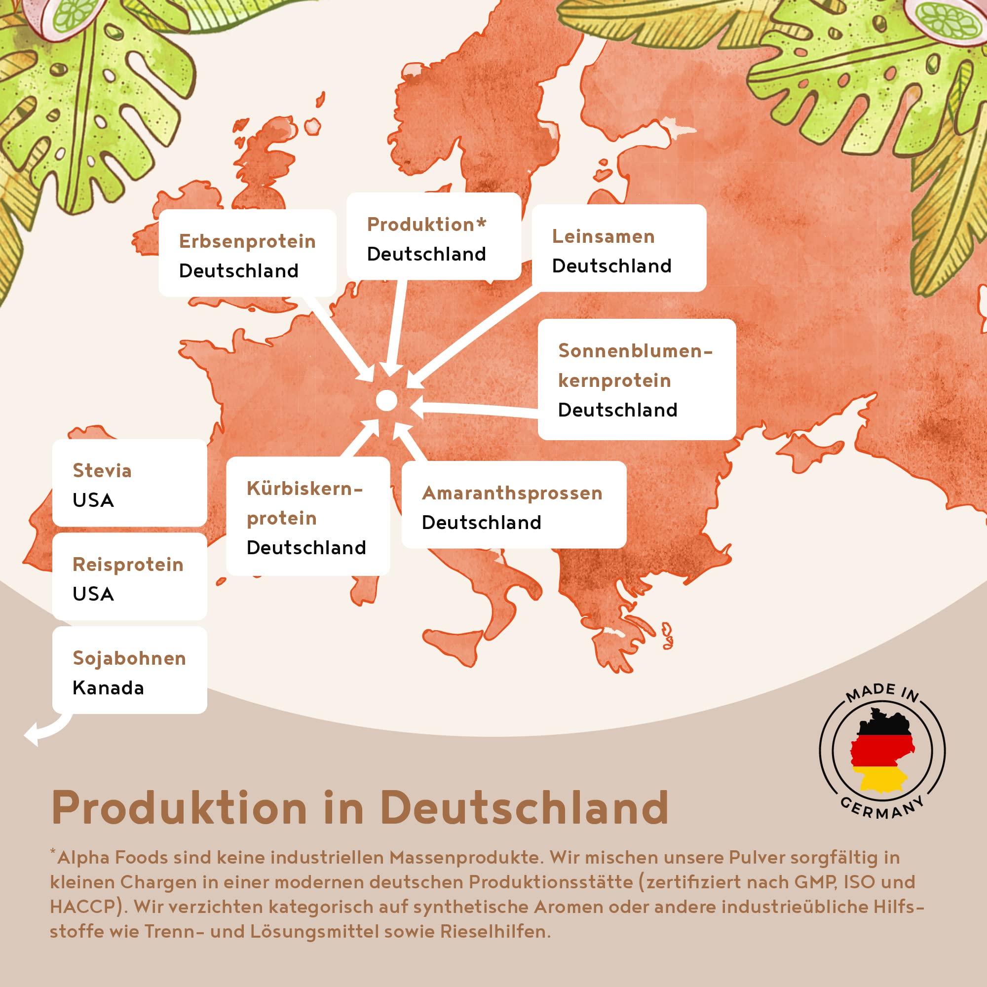 Veganes Proteinpulver | Schokolade | 30g Probierpäckchen Eiweißpulver | Produktprobe | Premiumqualität Protein | Made in Germany | Alpha Foods