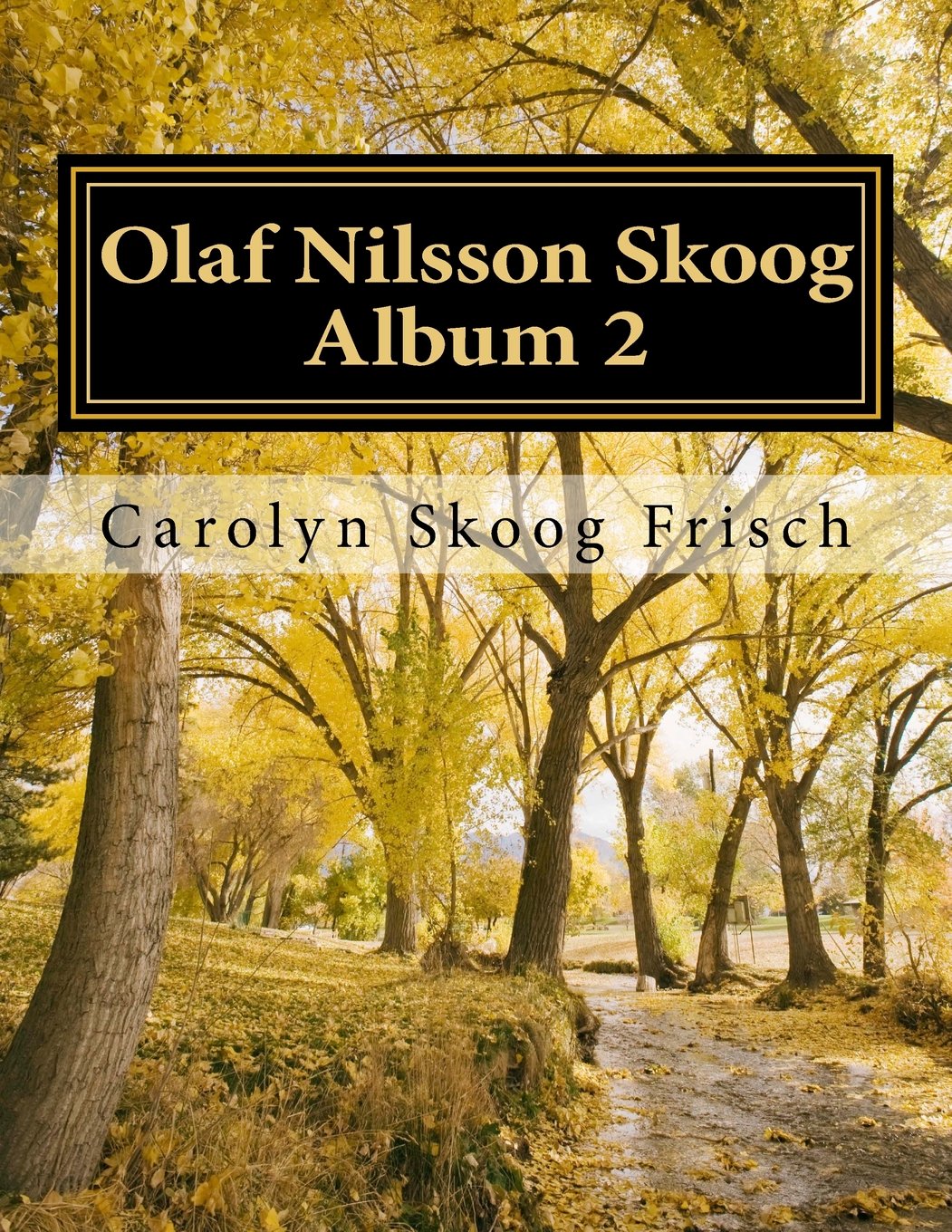 CREATESPACE Olaf Nilsson Skoog - Album 2: Volume 2