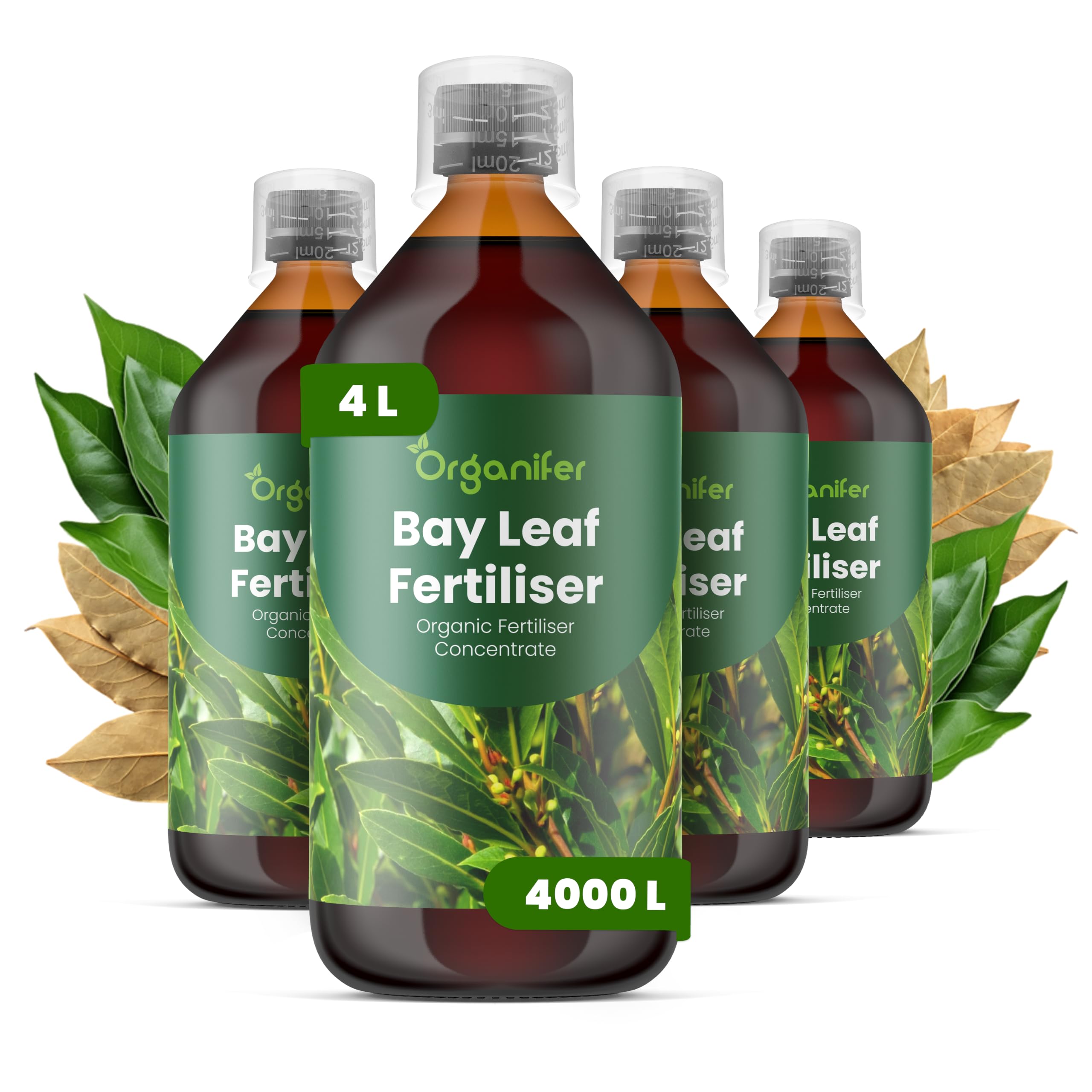 Liść Laurowy Nawóz Płynny - 4x1L - NPK 3-4-3 | Nawóz Płynny Dla Zdrowych Liści I Aromatycznych Roślin - Wspomaga Korzenie I Witalność - Organifer