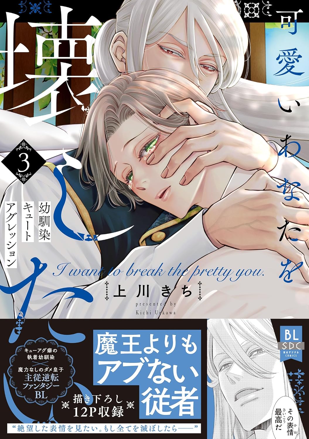 可愛いあなたを壊したい　幼馴染キュートアグレッション【単行本版】3【電子限定特典付き】 (BL宣言)