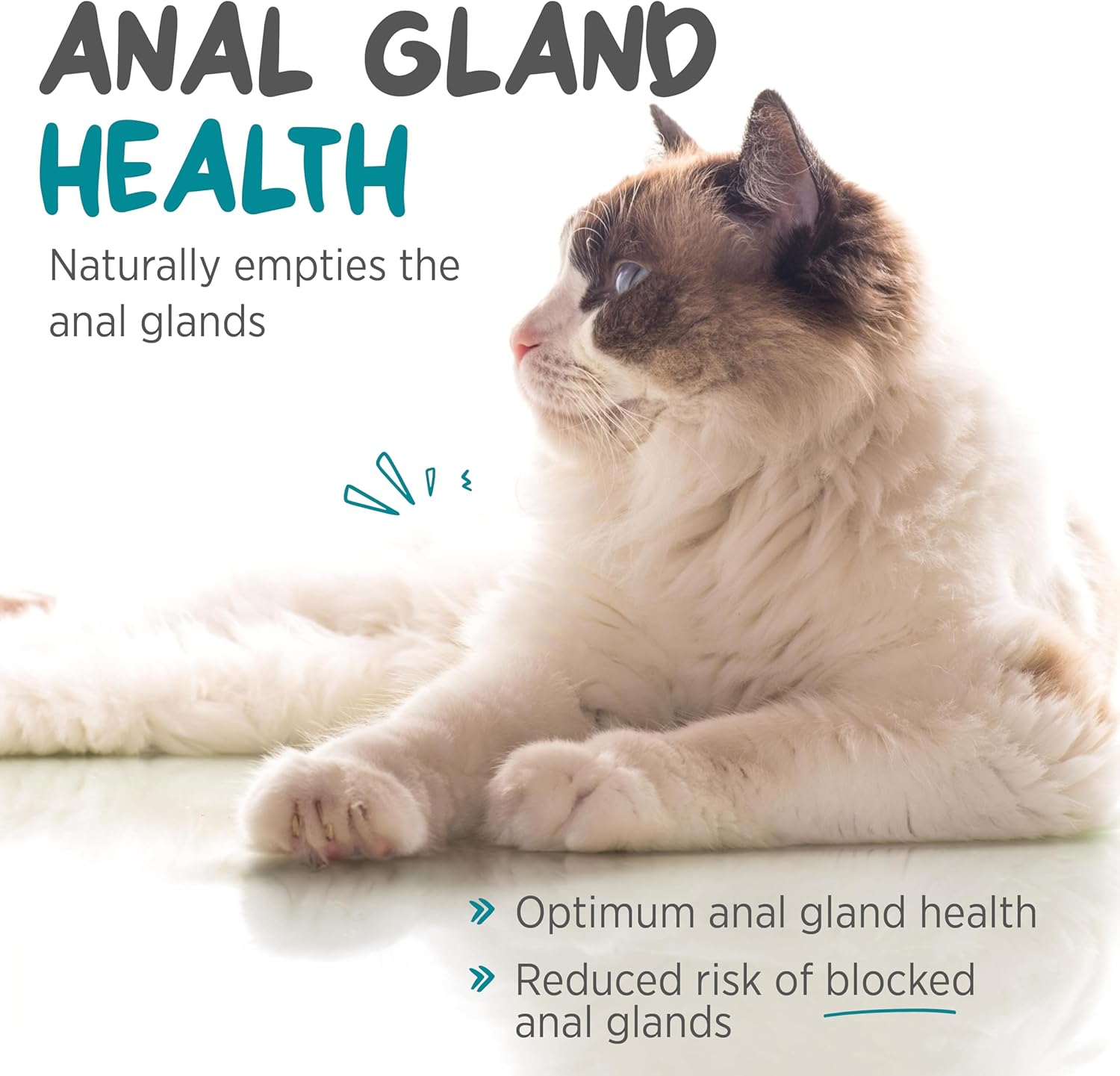 maxxipaws maxxiscoot Anal Gland & Digestive Health Support for Cats - Powder Supplement, 3.2oz - Image 3