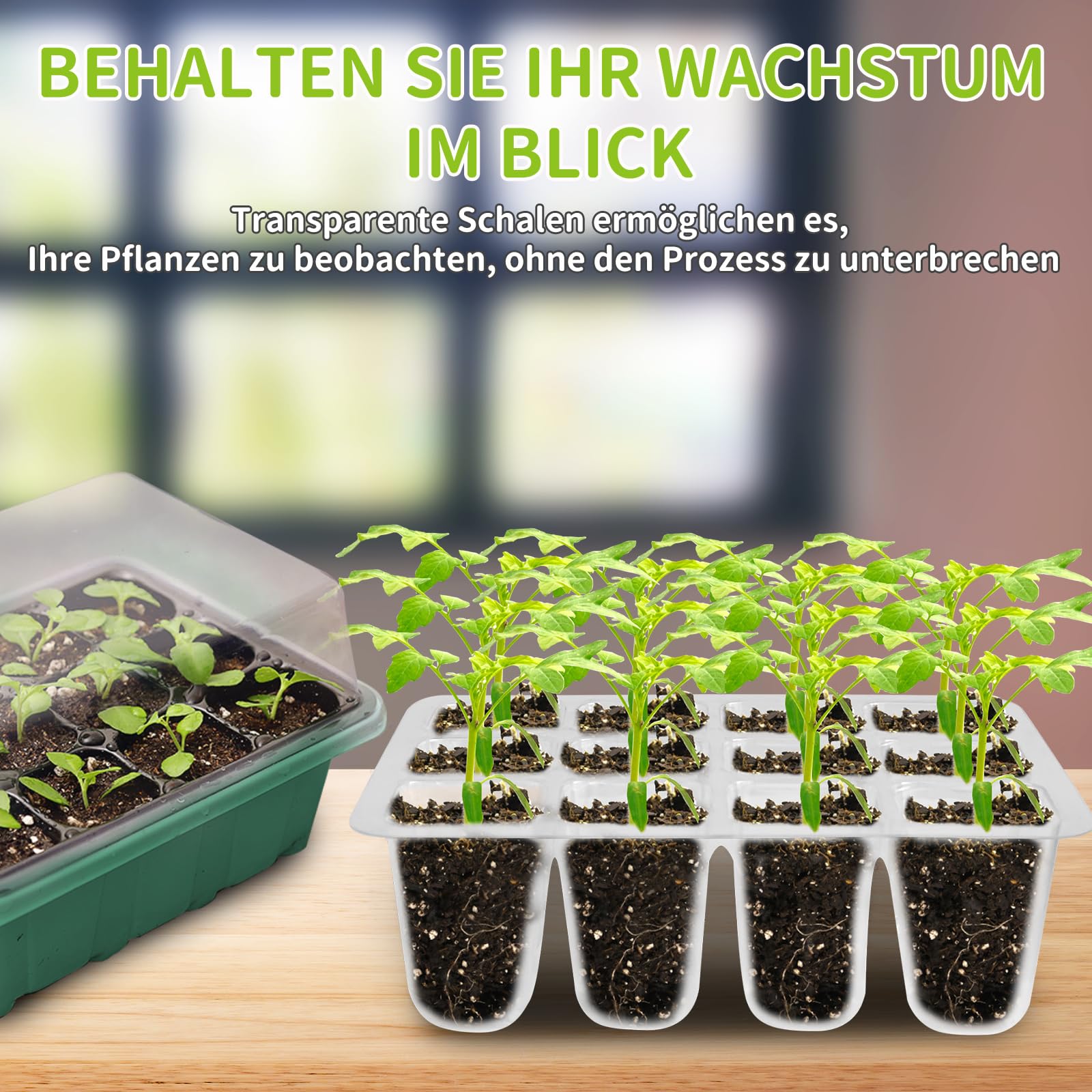 NAMOTEK Station de Germination 5 pièces avec Tapis Chauffant et couvercles – 60 cellules, Mini-Serre chauffée pour semis – Kit de Germination avec Tapis Chauffant